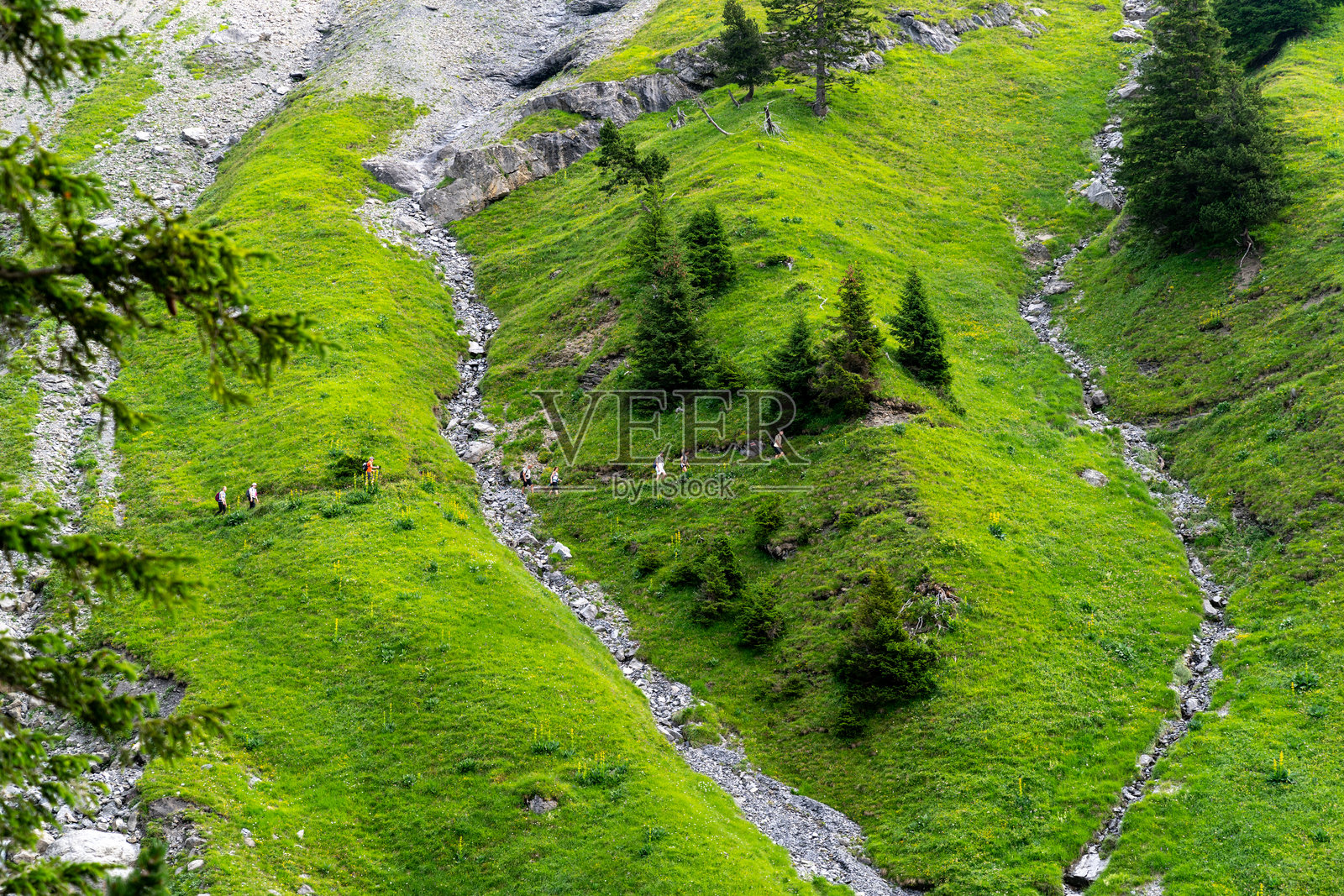夏季，徒步旅行者在瑞士坎德斯特格的奥赫辛湖全景徒步小径上行走。照片摄影图片