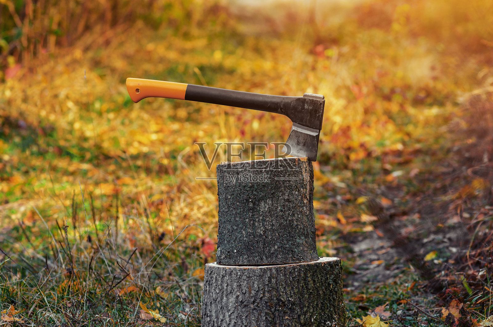 橙色手柄的斧头插入木头原木中。照片摄影图片