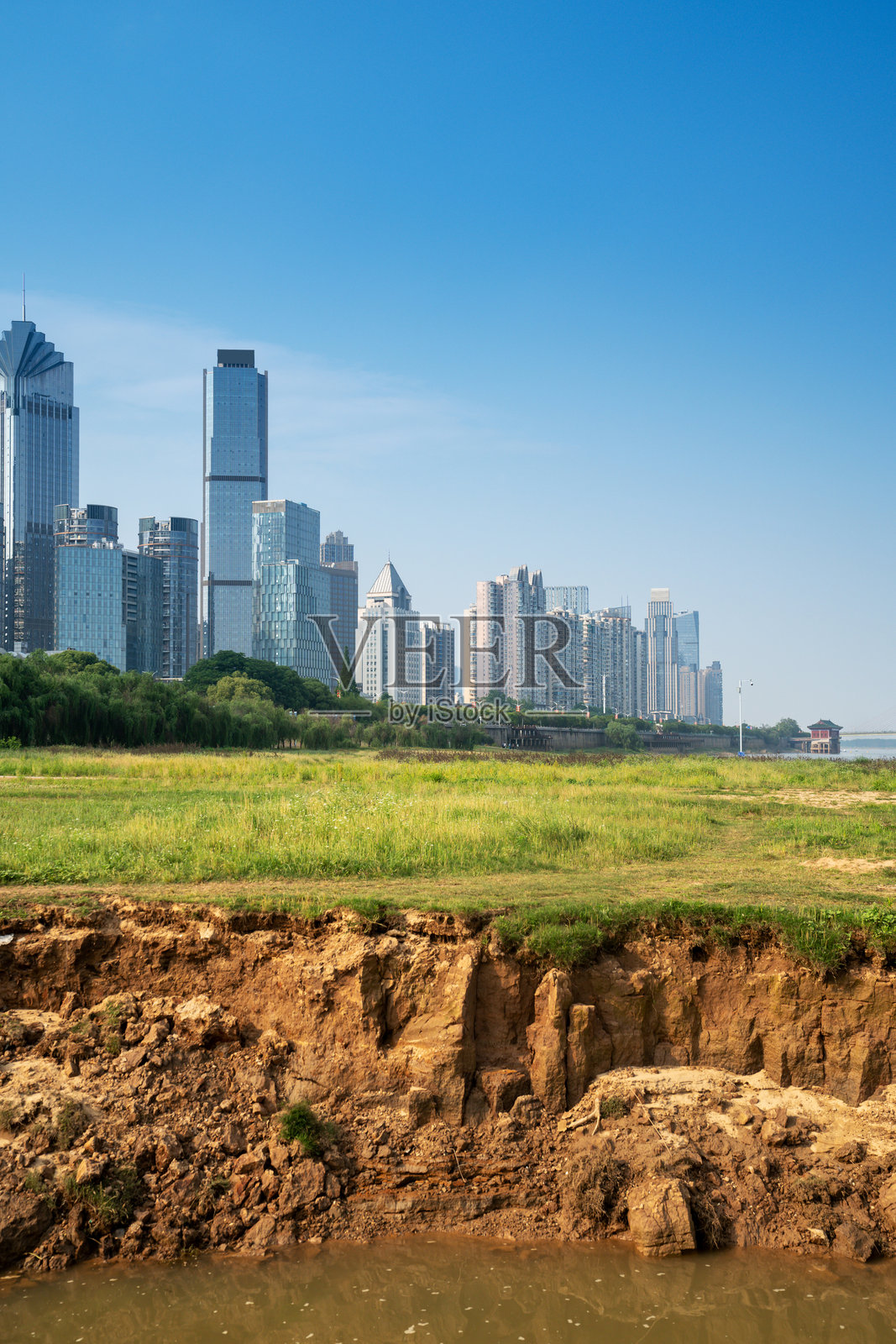 城市中心公园里的花田与现代城市照片摄影图片
