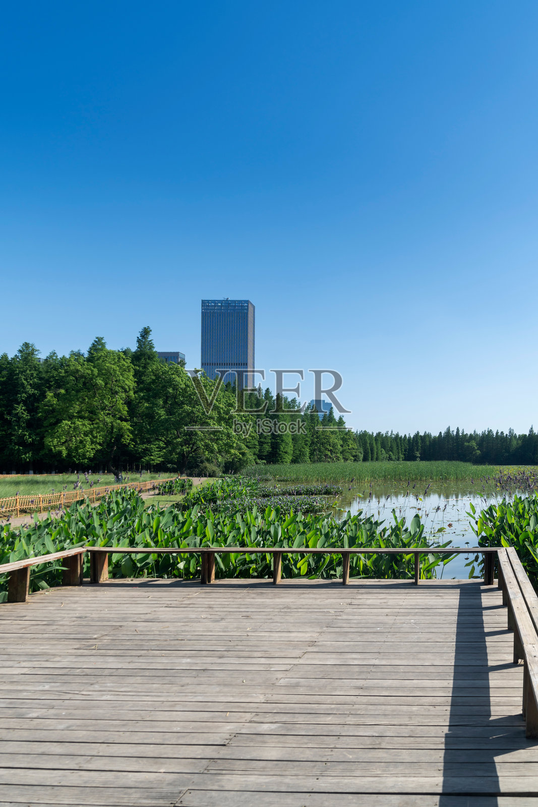 春天的公园与现代城市照片摄影图片