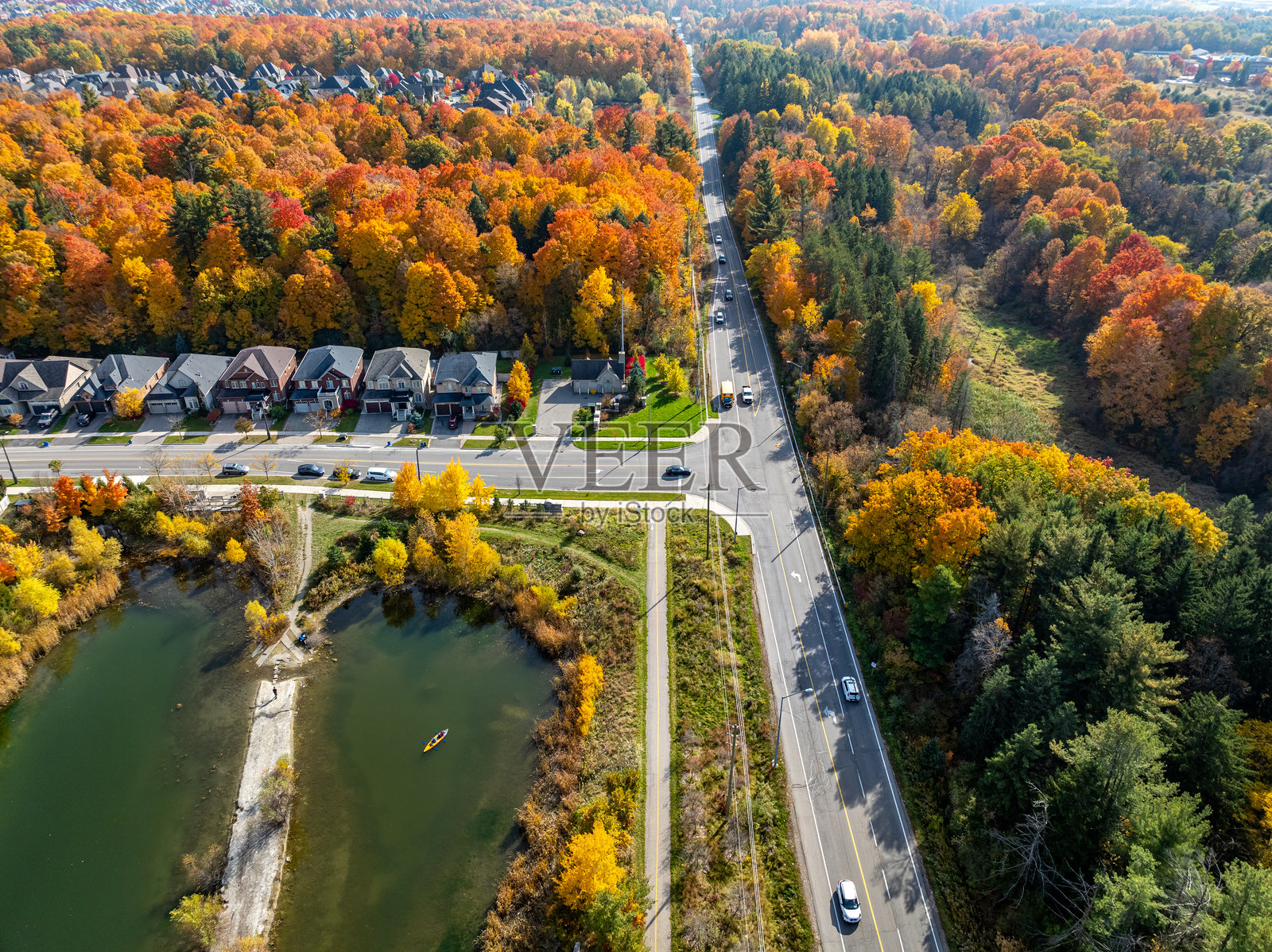 加拿大沃恩伍德布里奇的松村大道维洛尔村和科特赖特保护中心照片摄影图片
