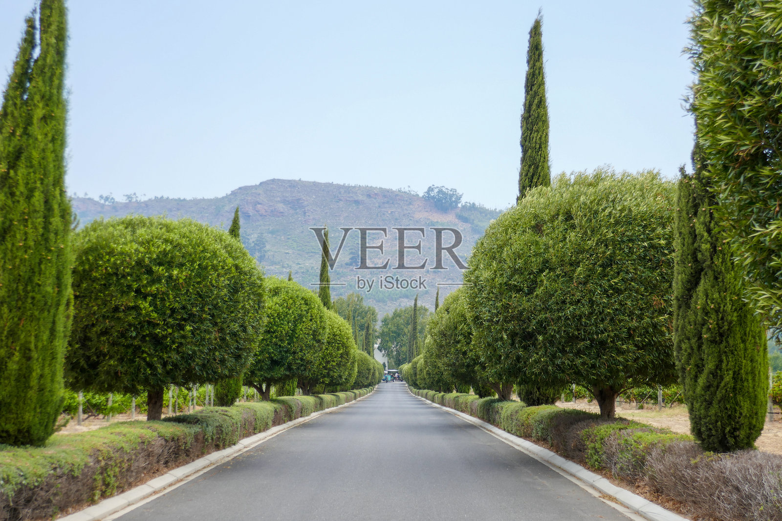 南非西开普省照片摄影图片