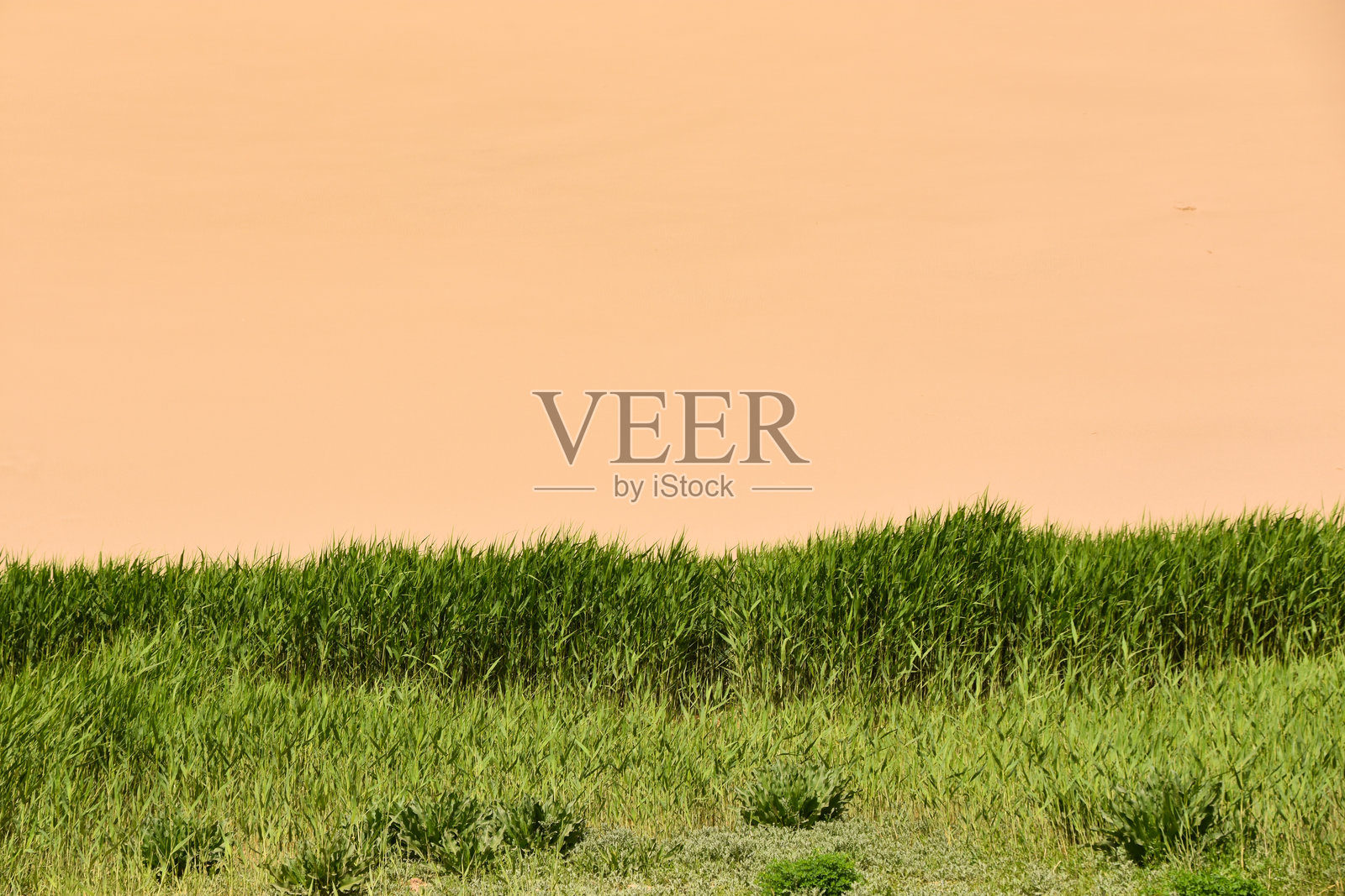 中国敦煌的戈壁滩，前景是绿色草地照片摄影图片