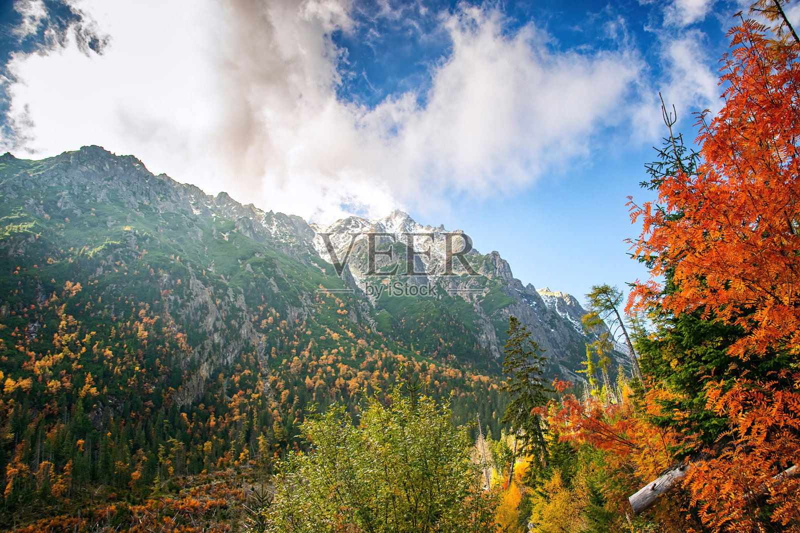 高塔特拉山脉的多彩秋天照片摄影图片