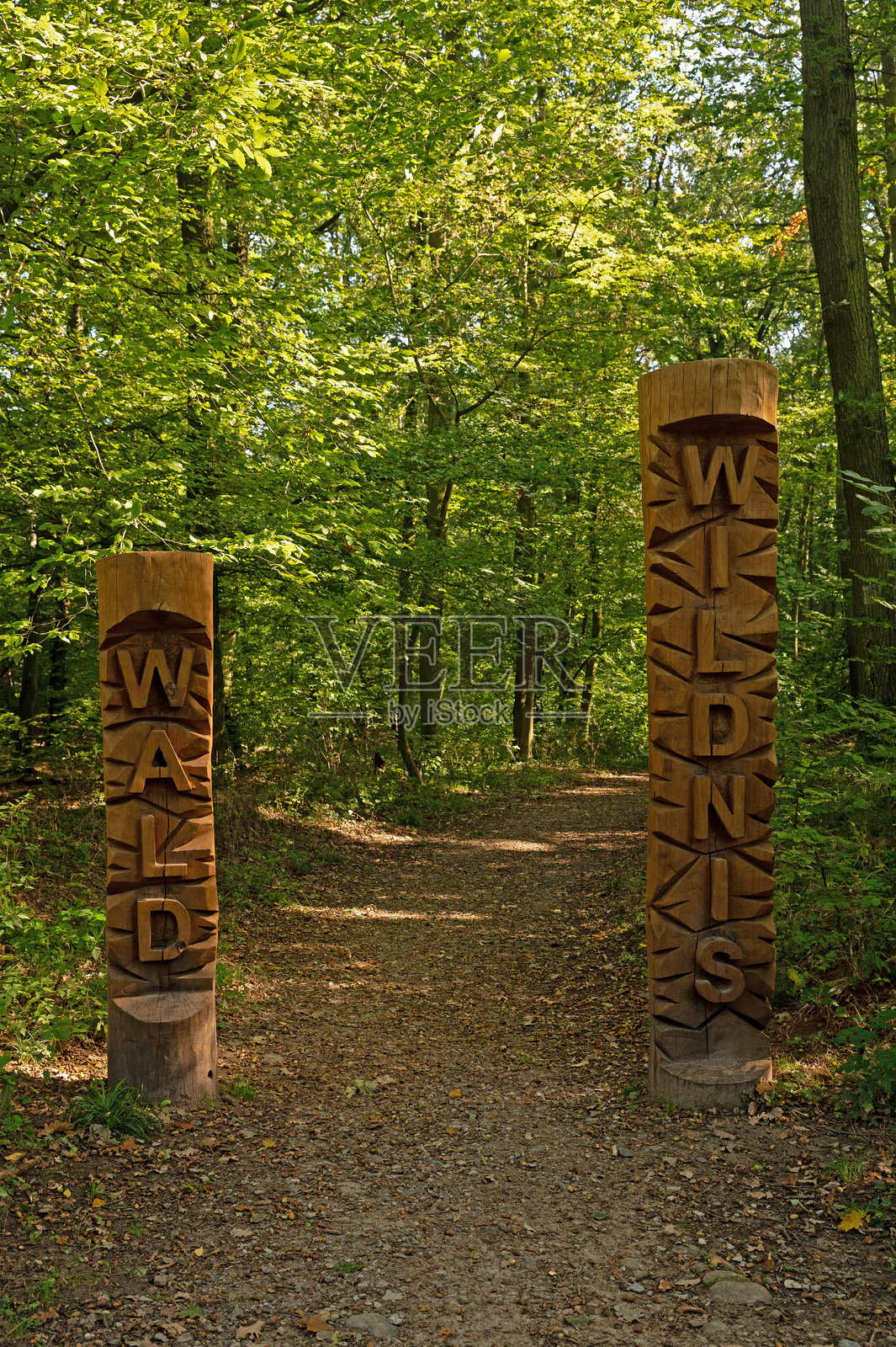 图林根州布朗斯罗达附近的徒步小径照片摄影图片