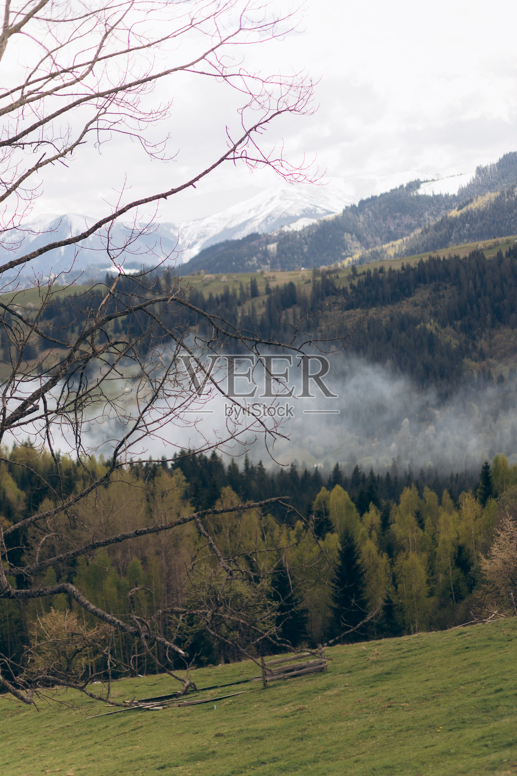 山谷中的雾霭清晨照片摄影图片