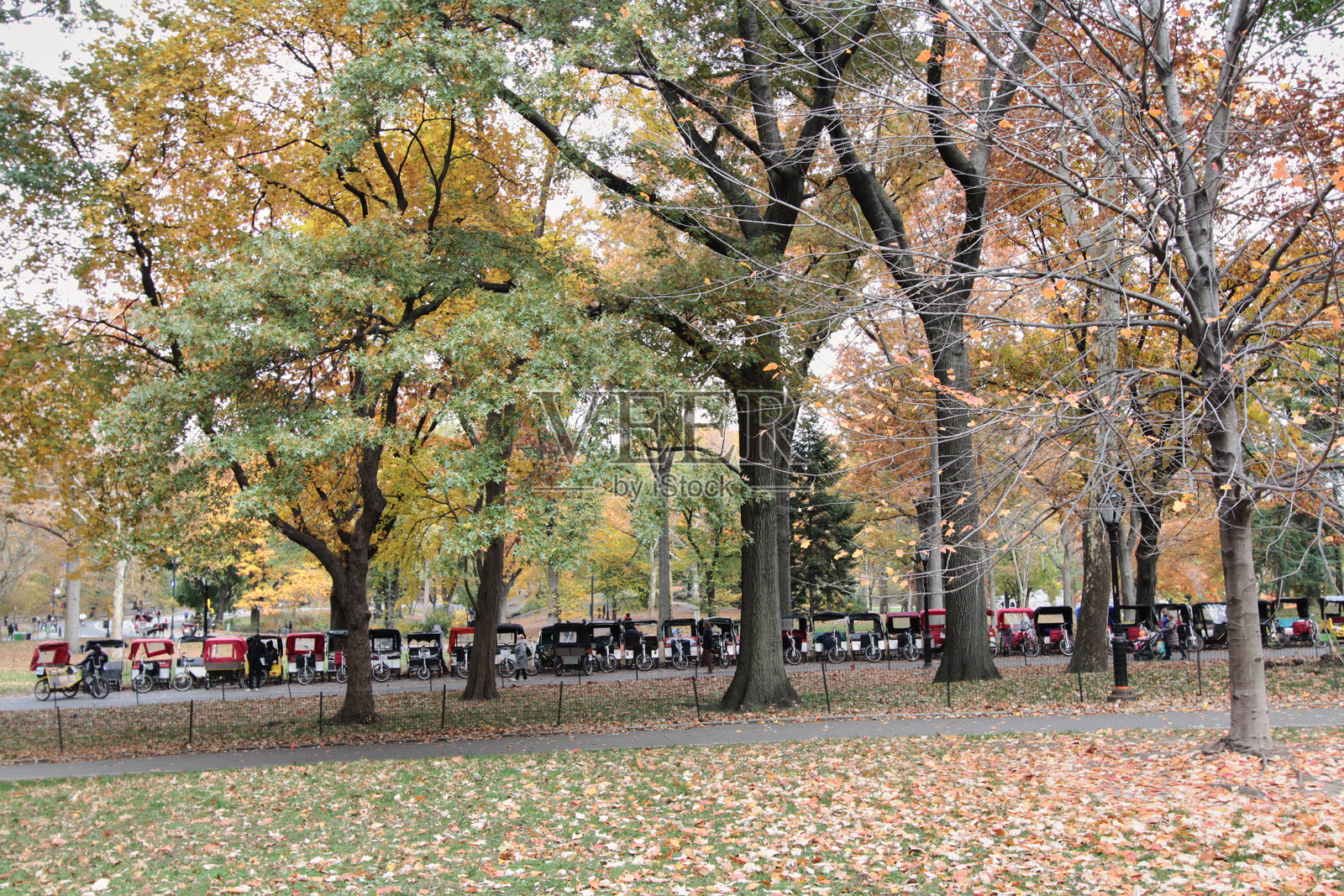 中央公园的马车线路照片摄影图片