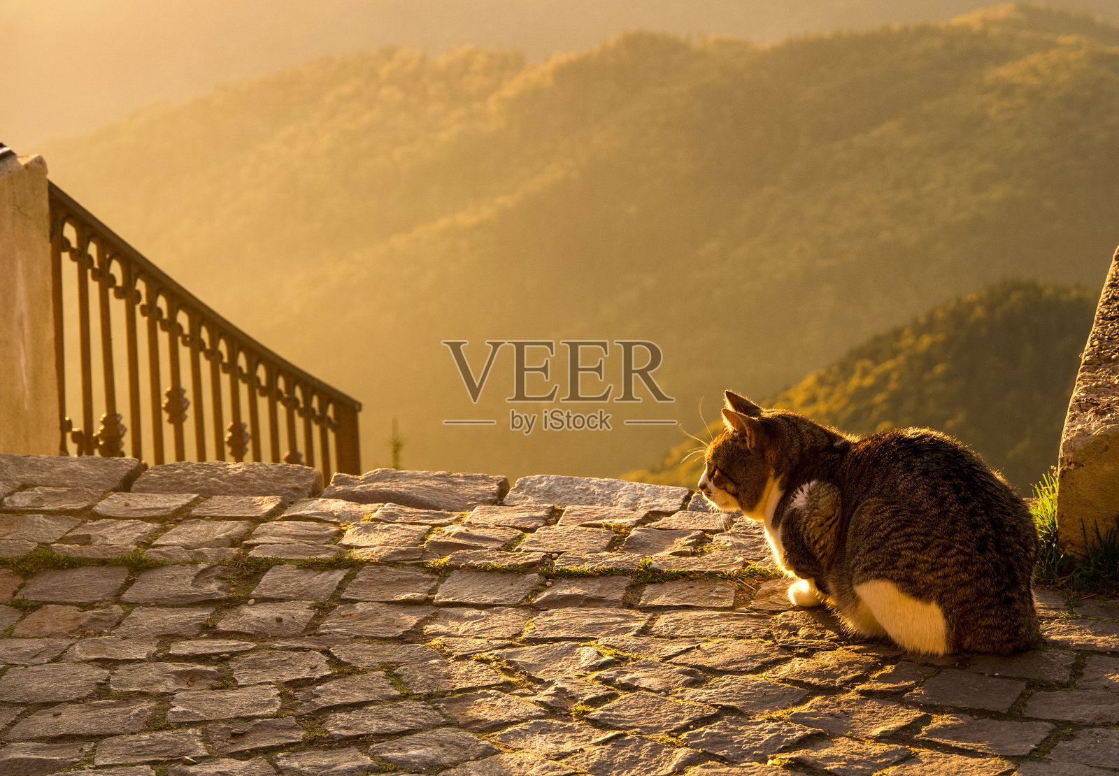 切阿尔劳山的多基亚小屋，罗马尼亚照片摄影图片