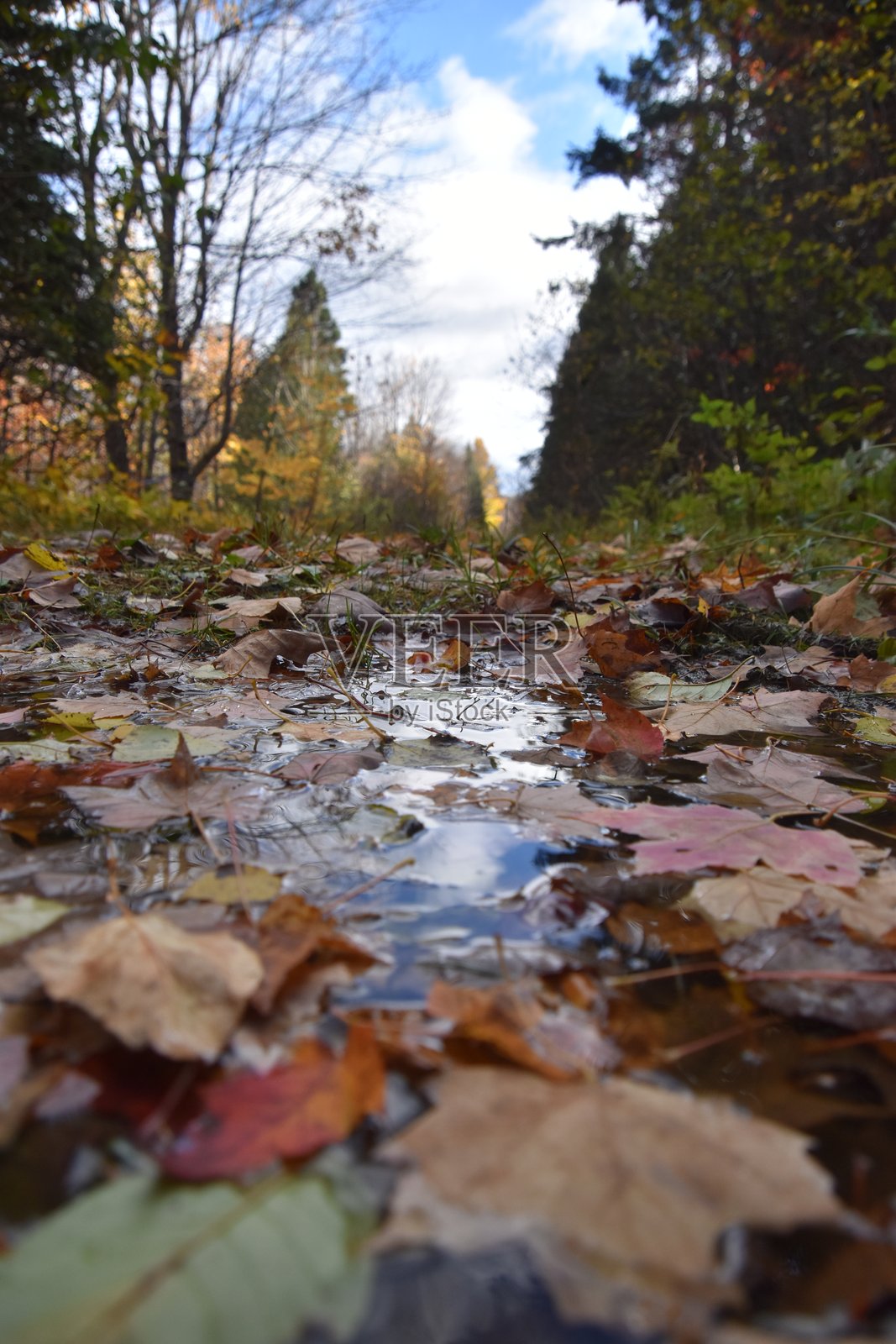 在秋天照片摄影图片
