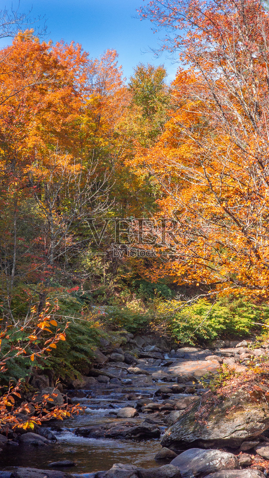 美丽的小河照片摄影图片