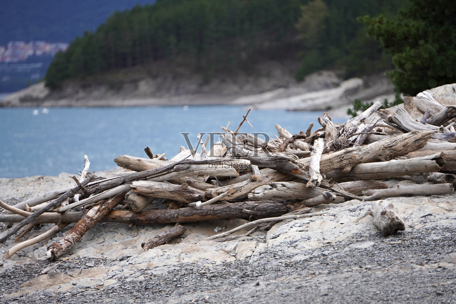 阿尔卑斯湖岸的漂流木照片摄影图片