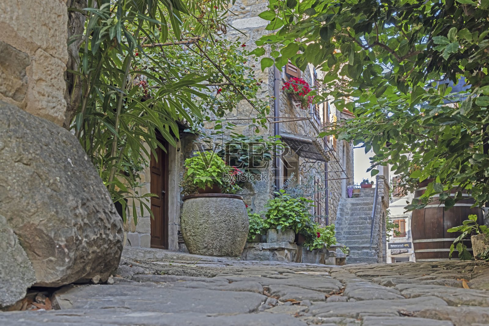一条古老的村庄街道，中间有几级石阶。照片摄影图片