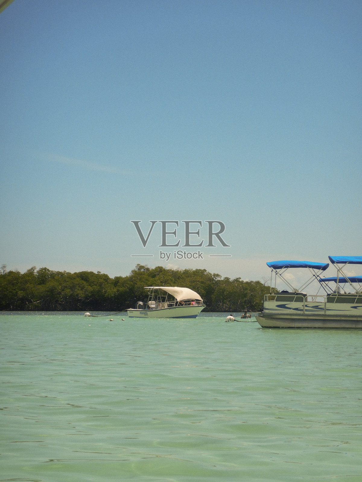 红树林岛屿照片摄影图片