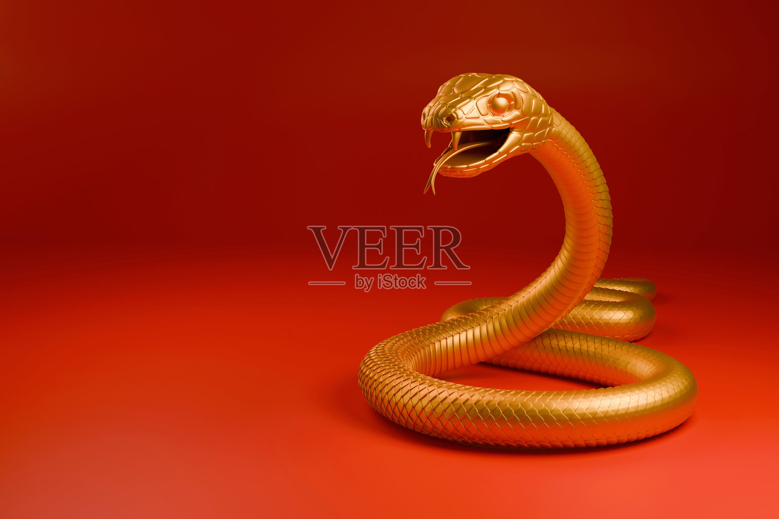 2025年蛇年照片摄影图片