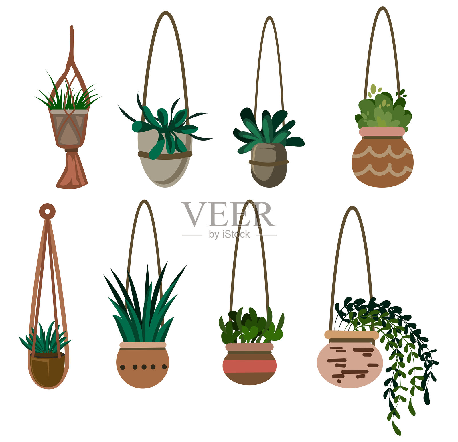 时尚的悬挂植物盆栽与多肉植物插画图片素材