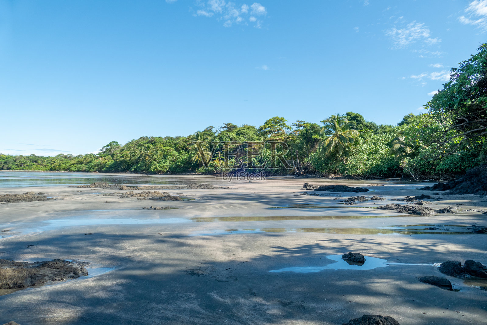 巴拿马卡沃莱博拉的细沙海滩，旁边是热带丛林照片摄影图片