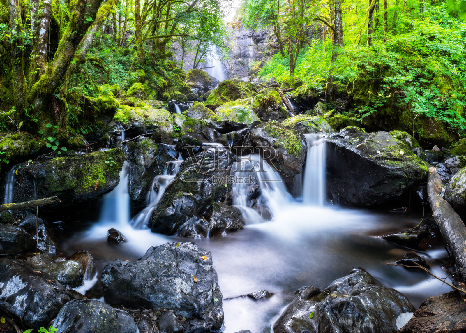 森林中的多条瀑布照片摄影图片