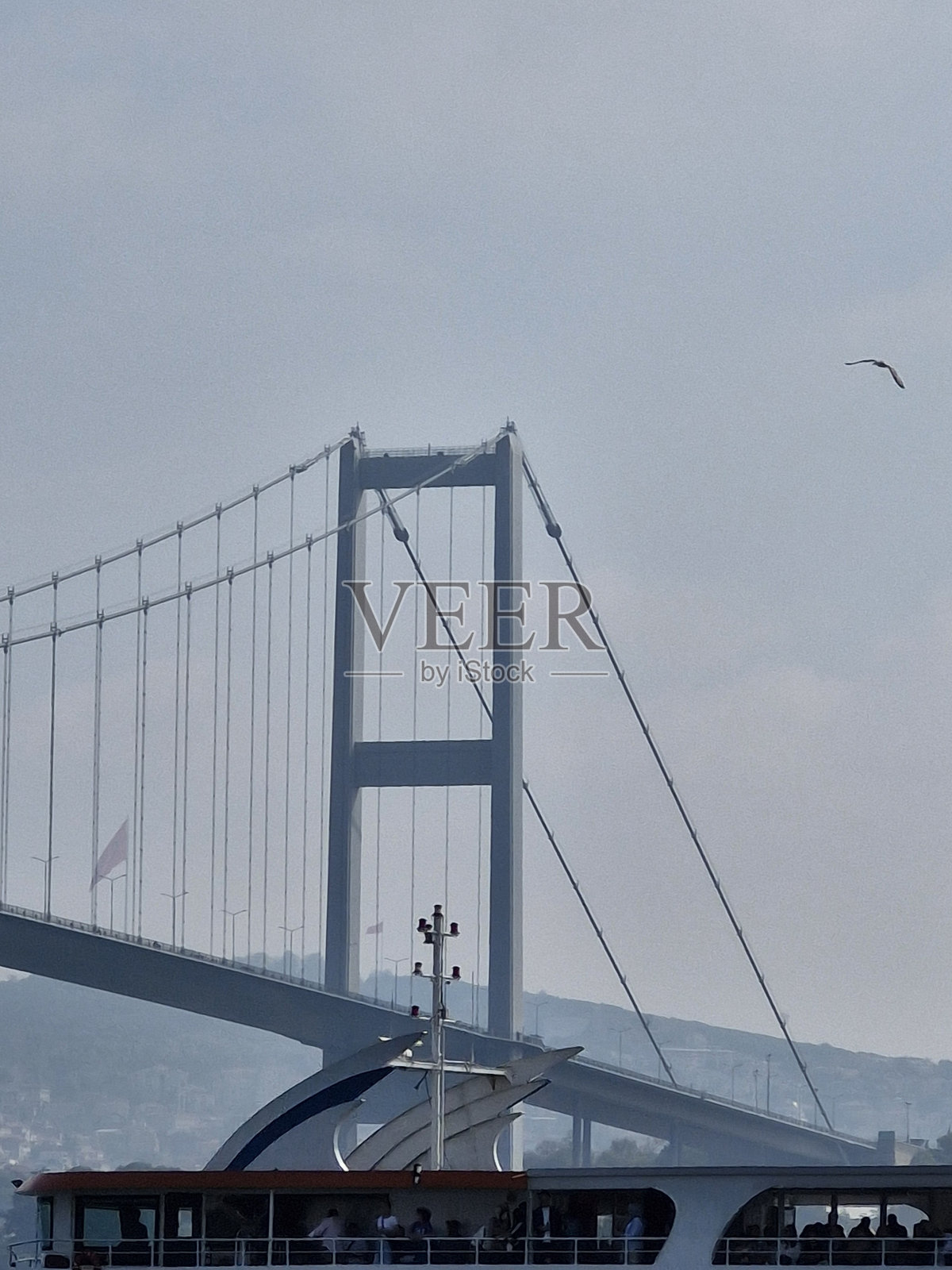 博斯普鲁斯海峡及其前方经过的游轮照片摄影图片