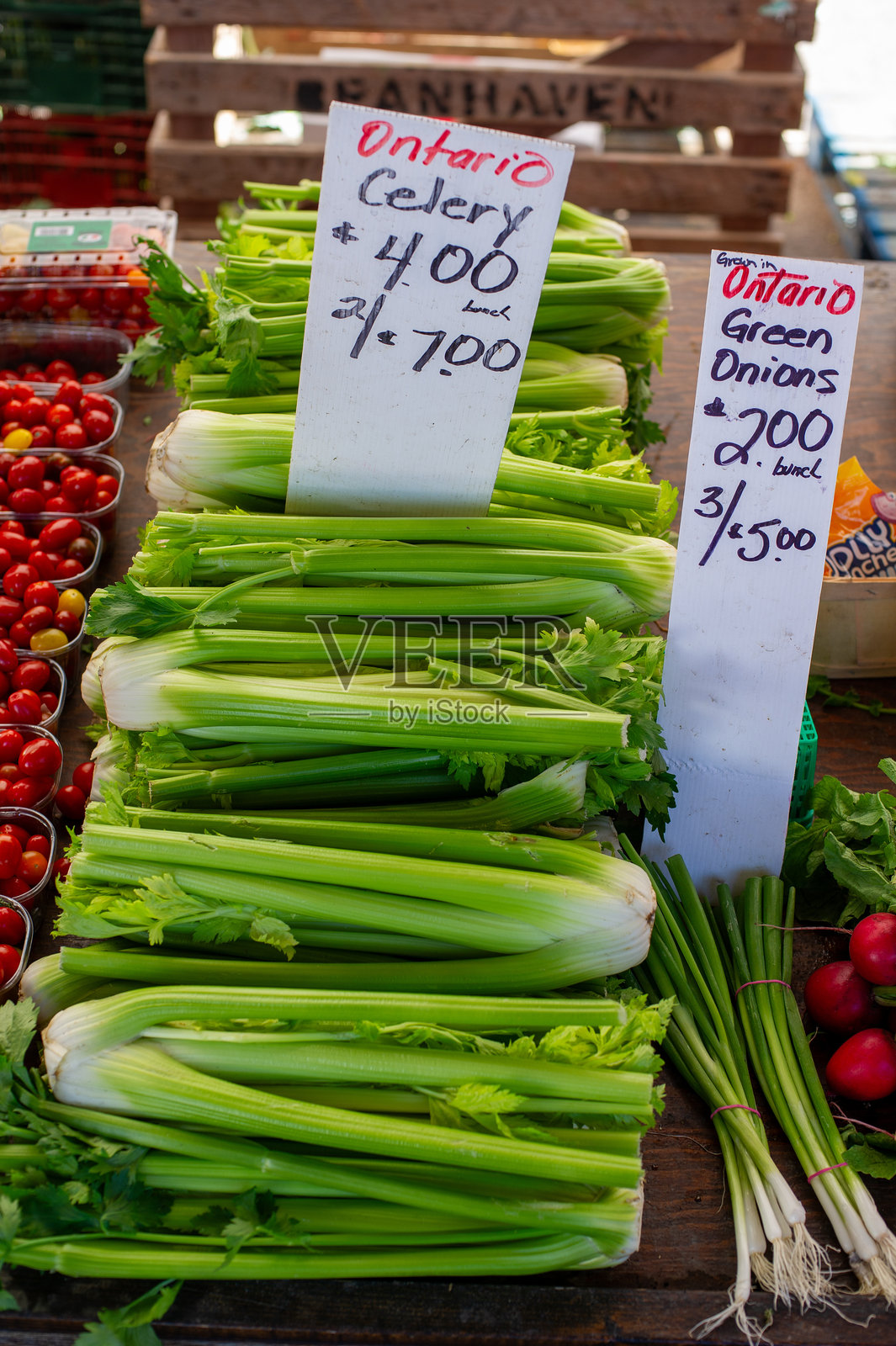 安大略市场上展示的新鲜芹菜。照片摄影图片