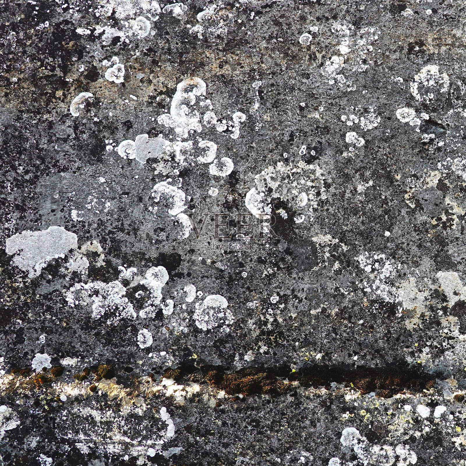 户外灰色黑色纹理的苔藓地衣石特写照片摄影图片