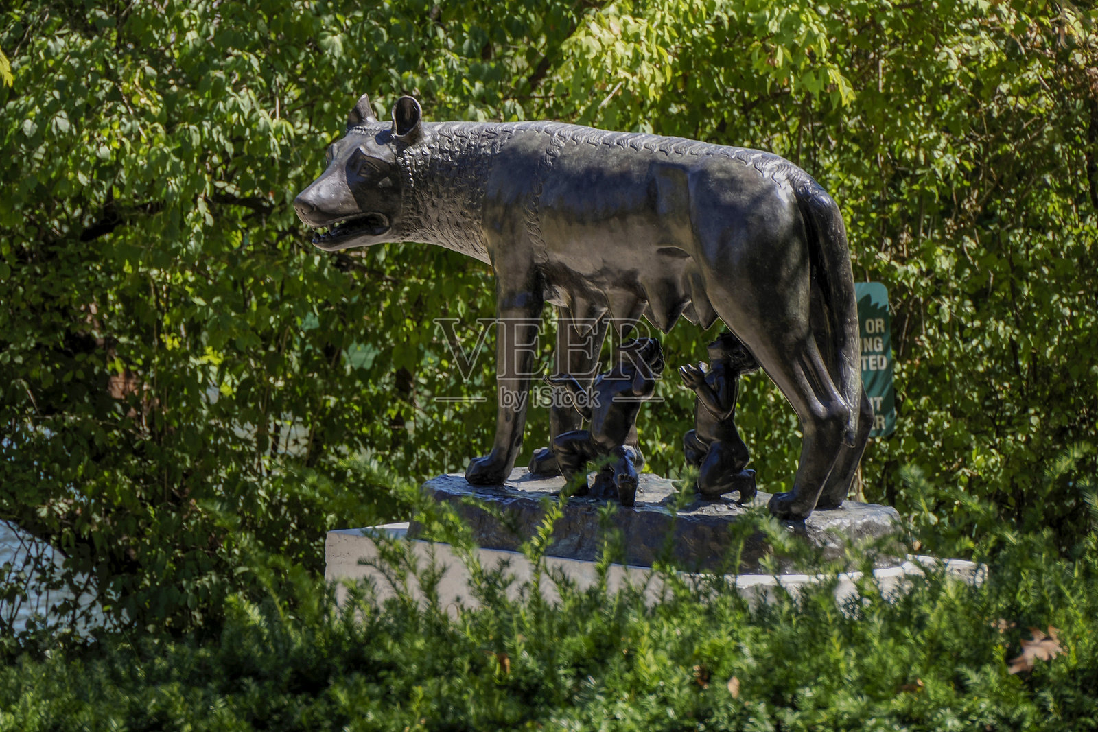 辛辛那提的狼雕像是由意大利罗马人民赠送给辛辛那提，以纪念罗马贵族和领袖辛辛那提斯，辛辛那提的名字正是源于他。照片摄影图片