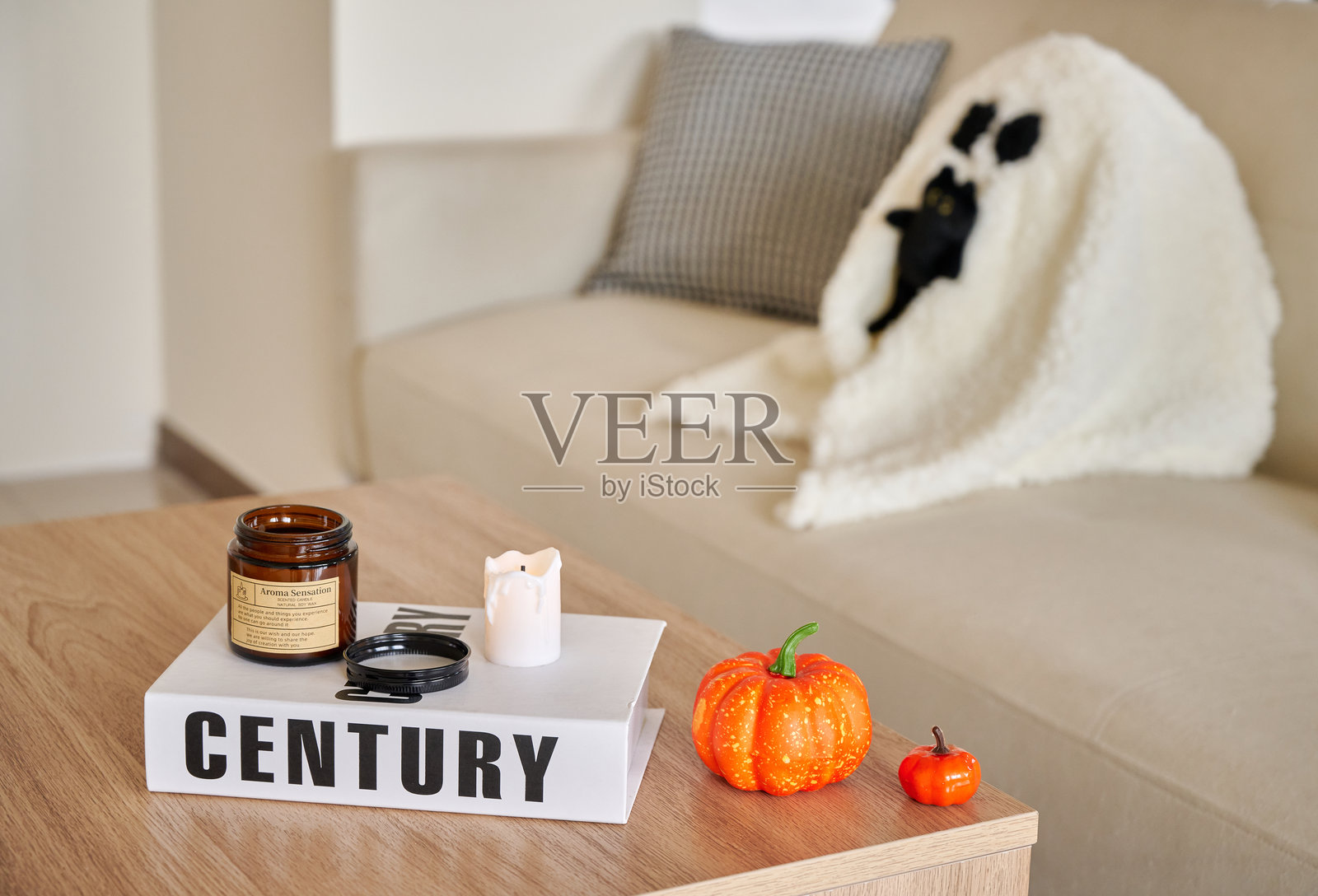 温馨的秋季装饰与可爱的猫咪伴侣在家中照片摄影图片