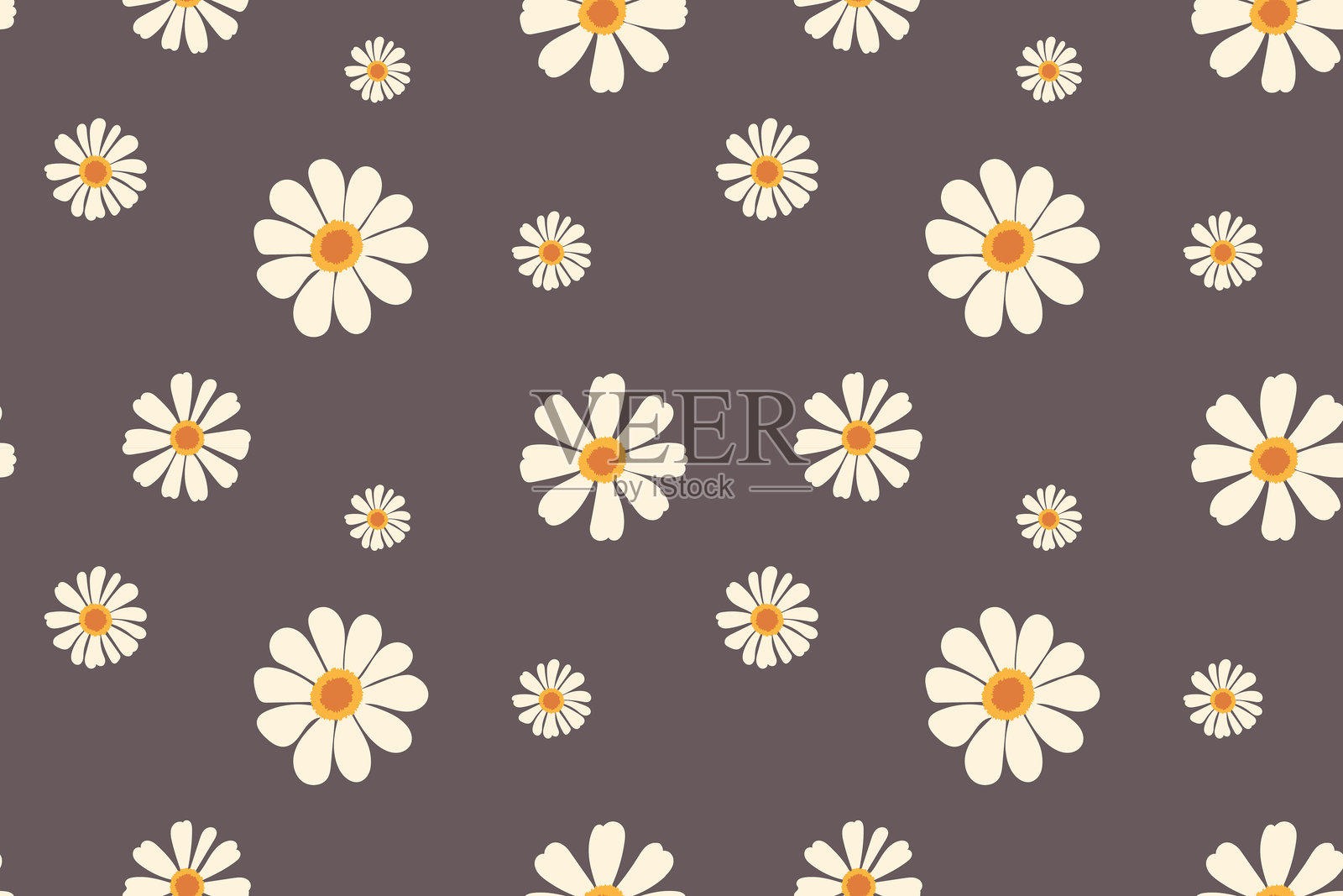 深灰色背景上的风格化白色雏菊无缝图案插画图片素材