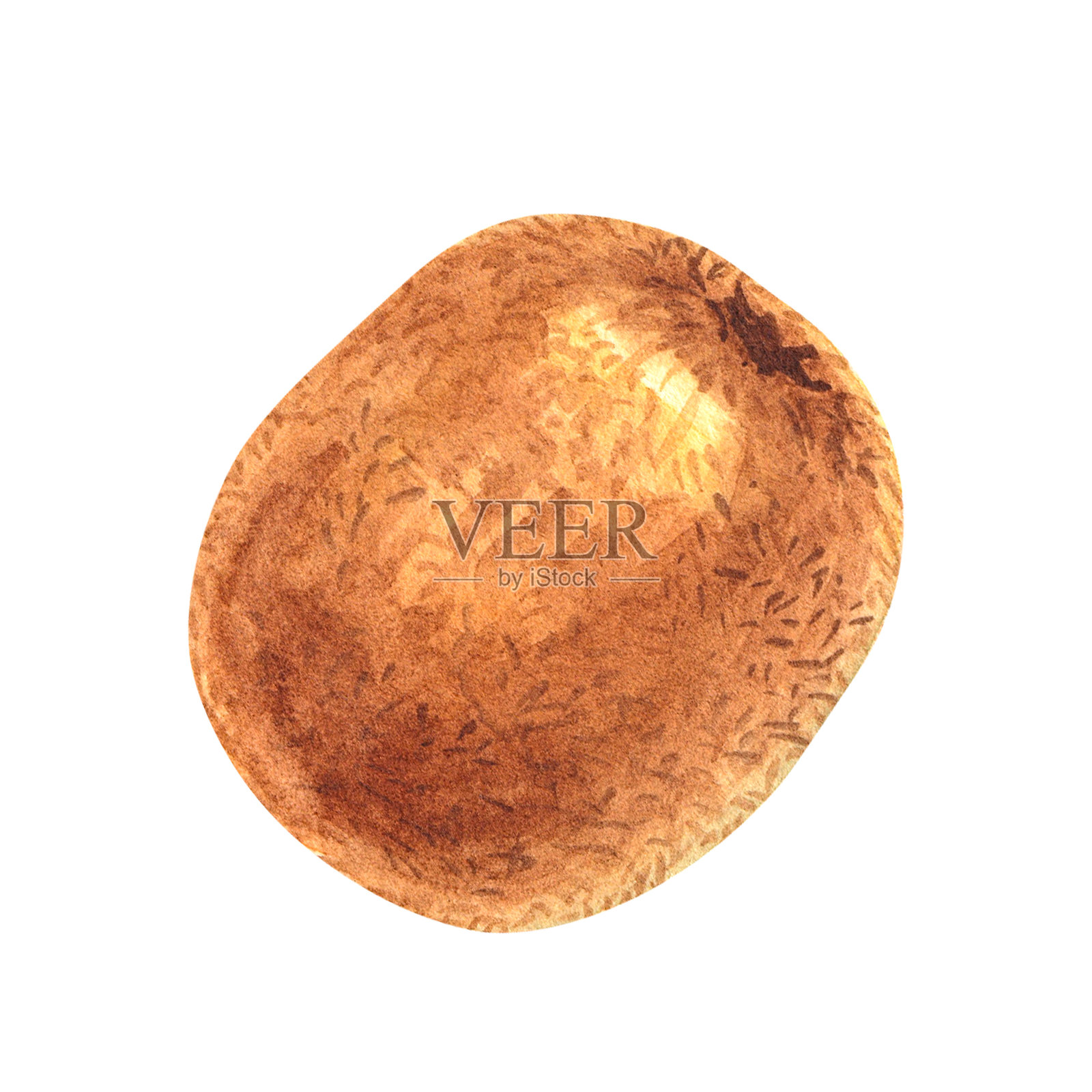 手绘水彩猕猴桃，适用于设计包装照片摄影图片