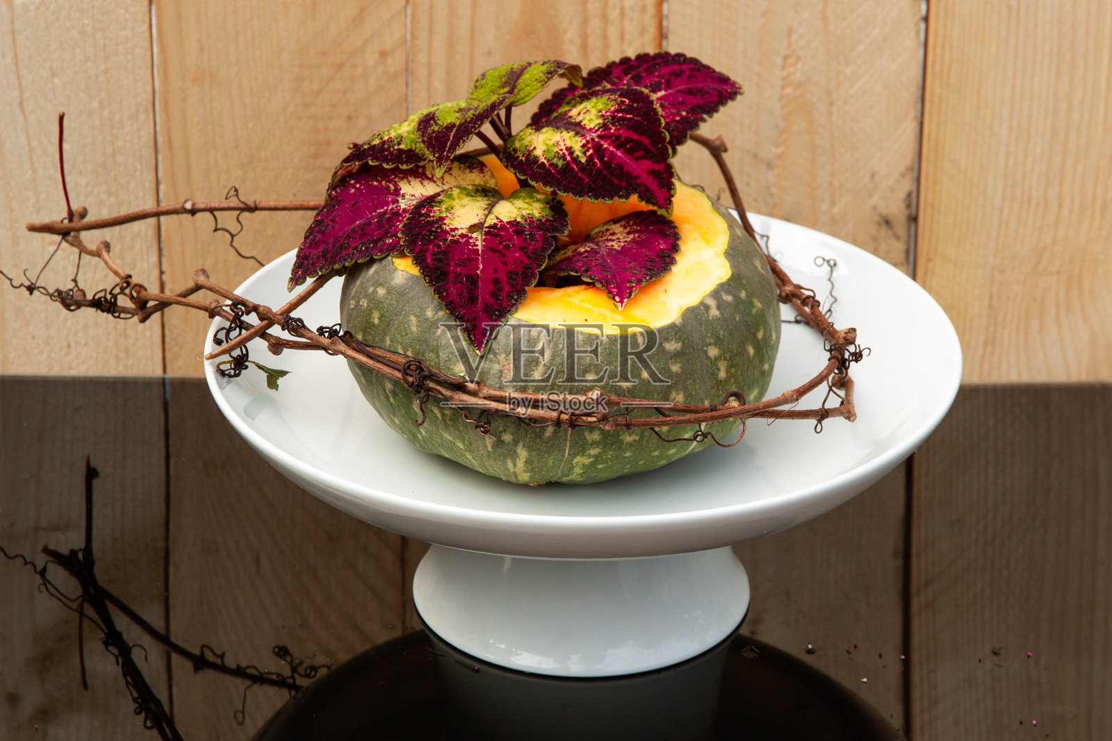 一盘白色盘子上摆放着花、藤蔓和南瓜，背景为黑色。照片摄影图片