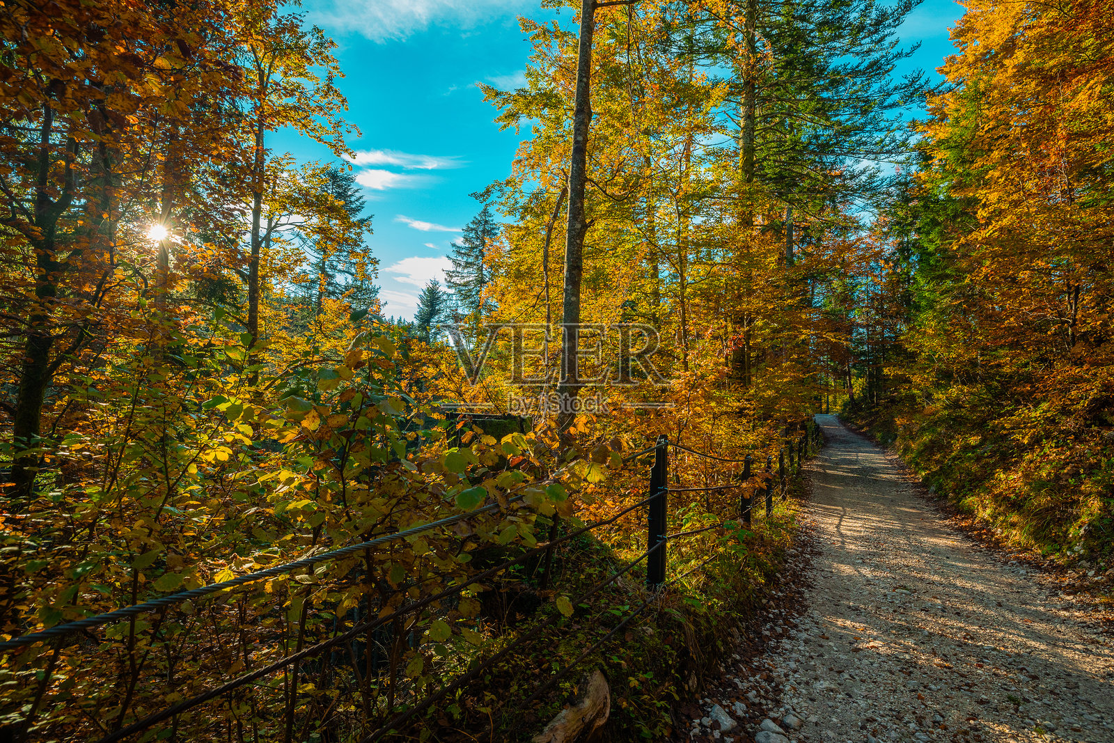 清晨的碎石阿尔卑斯小径，从鲁德诺波尔耶到斯洛文尼亚朱利安阿尔卑斯的乌斯科夫尼察平原。秋天的氛围，树木和草地呈现出黄色和棕色的色调。照片摄影图片