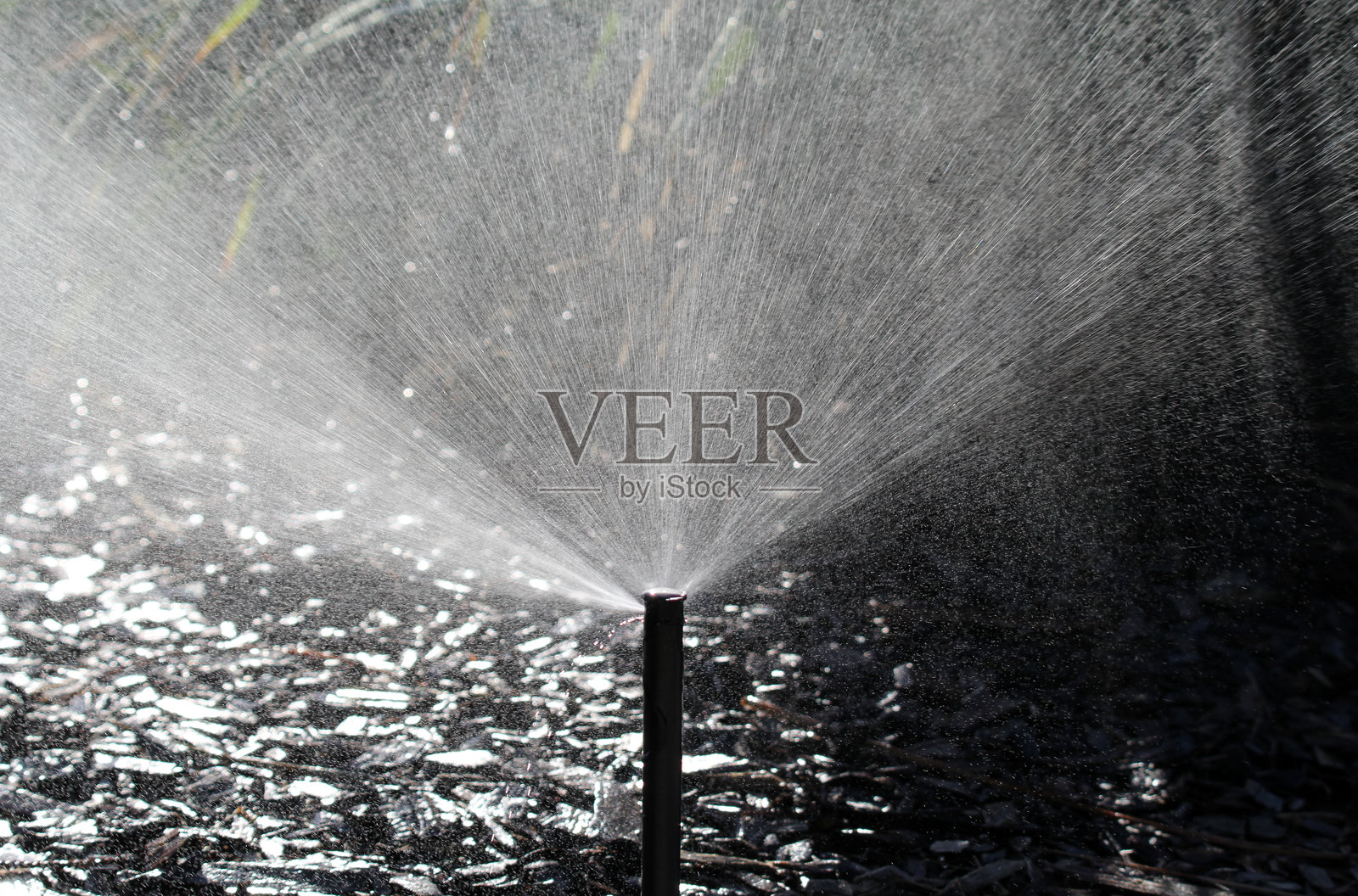 管道上的喷头向花园喷洒水。照片摄影图片