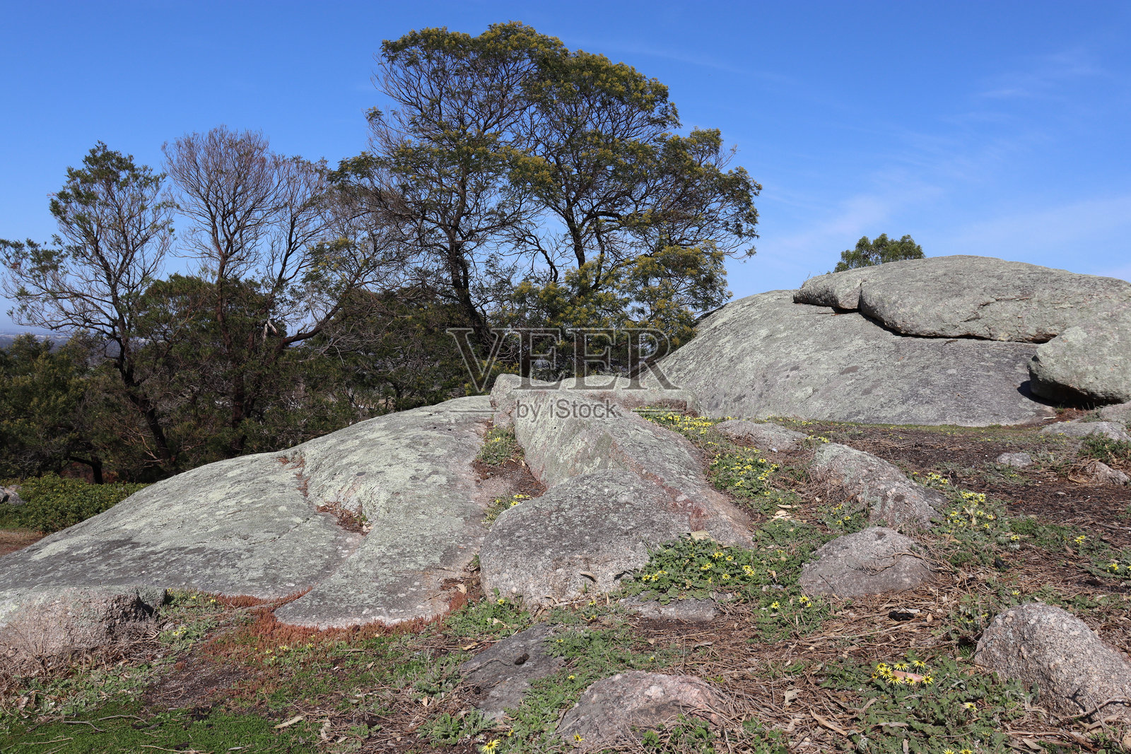 澳大利亚尤扬国家公园的岩石地貌与树木景观照片摄影图片
