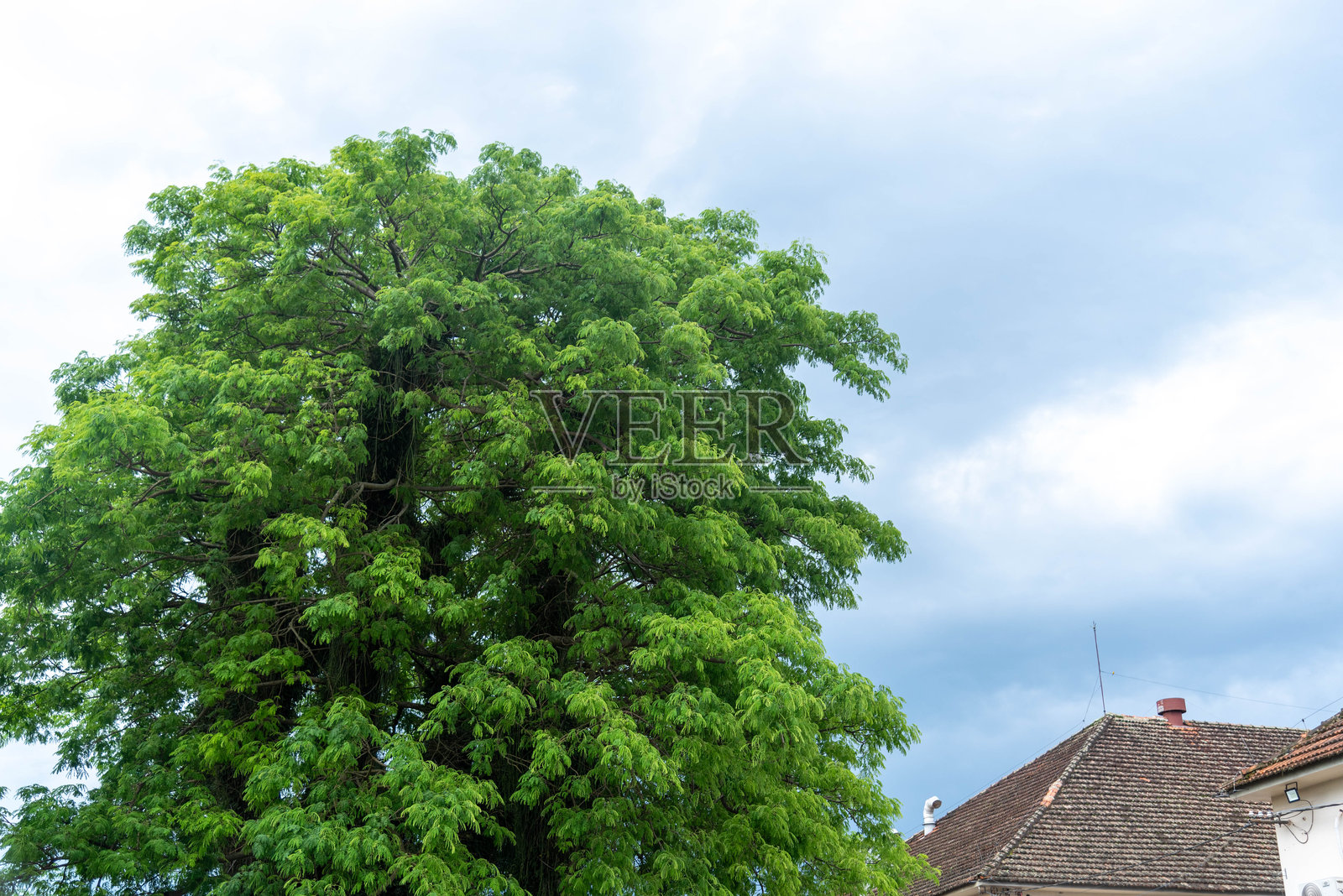 傍晚时分，乌云密布照片摄影图片