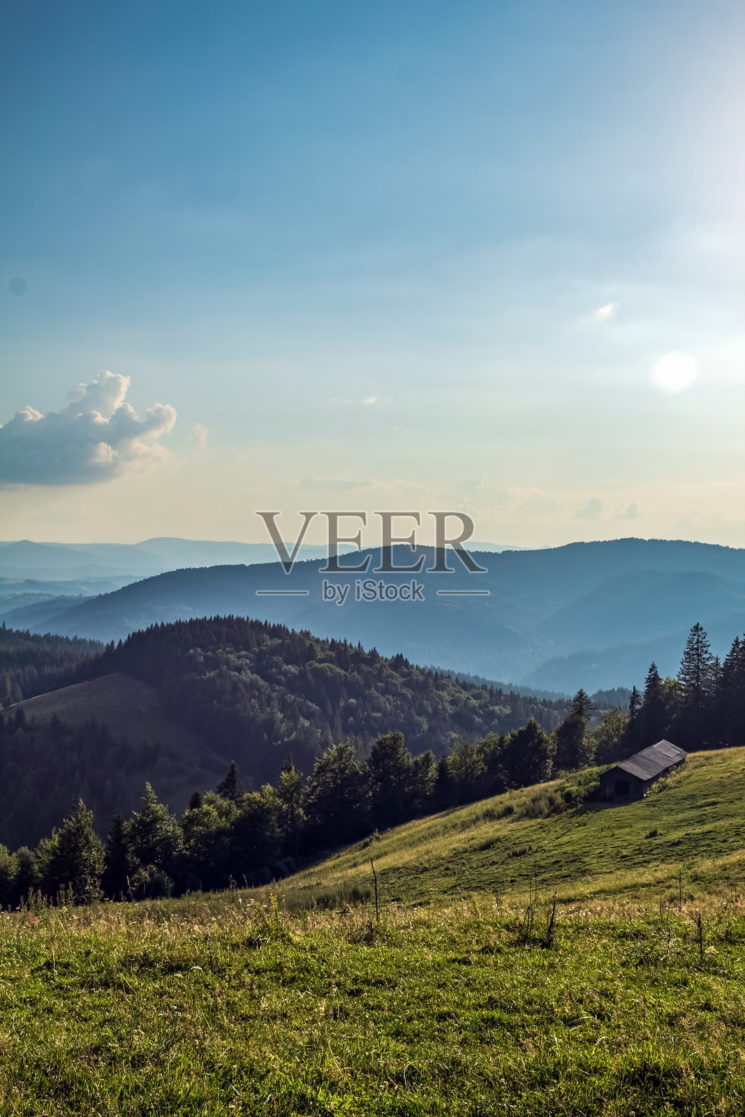 风景 - 森林 - 欧洲，罗马尼亚，苏恰瓦地区照片摄影图片