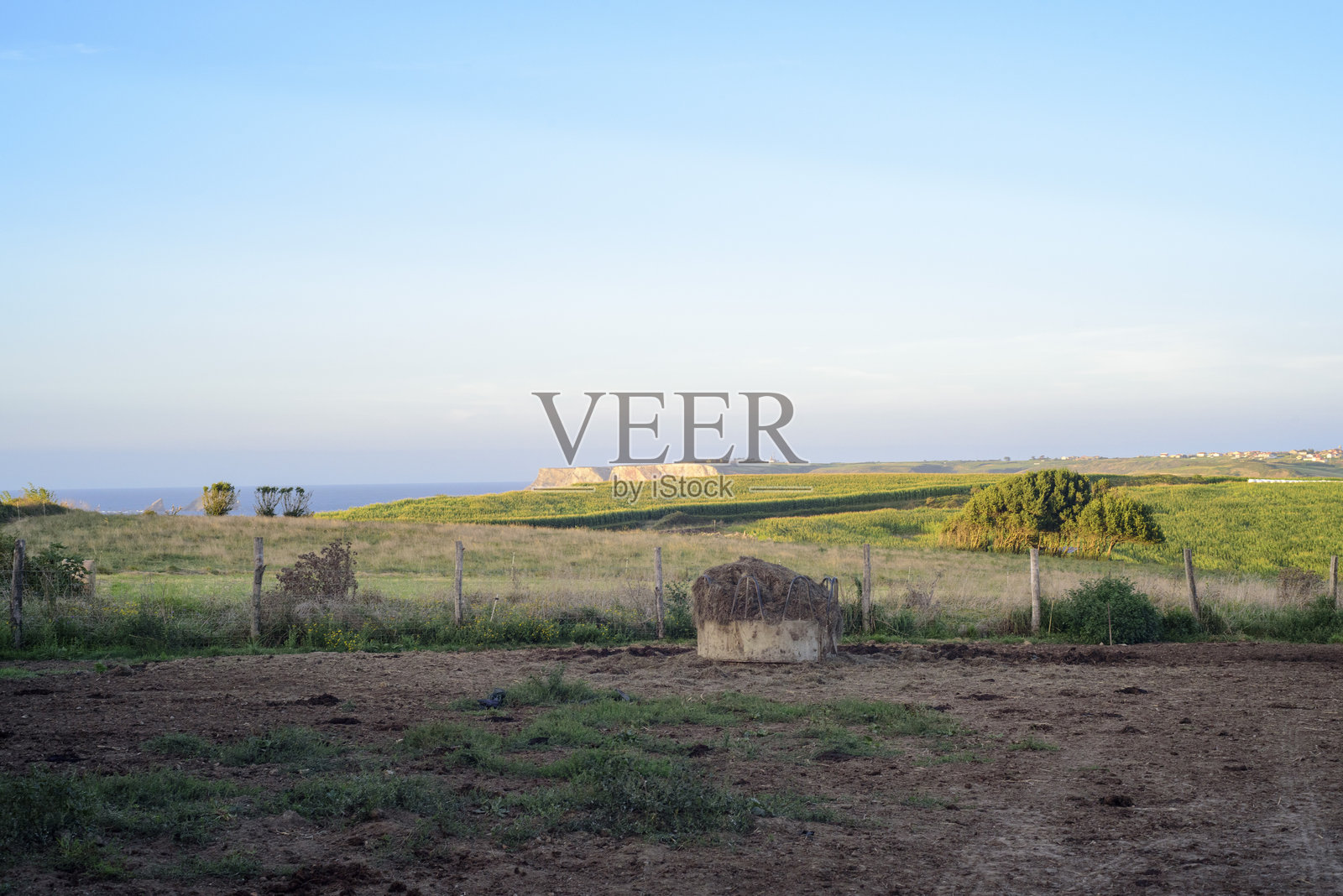 阿斯图里亚斯海边的牧场田野照片摄影图片