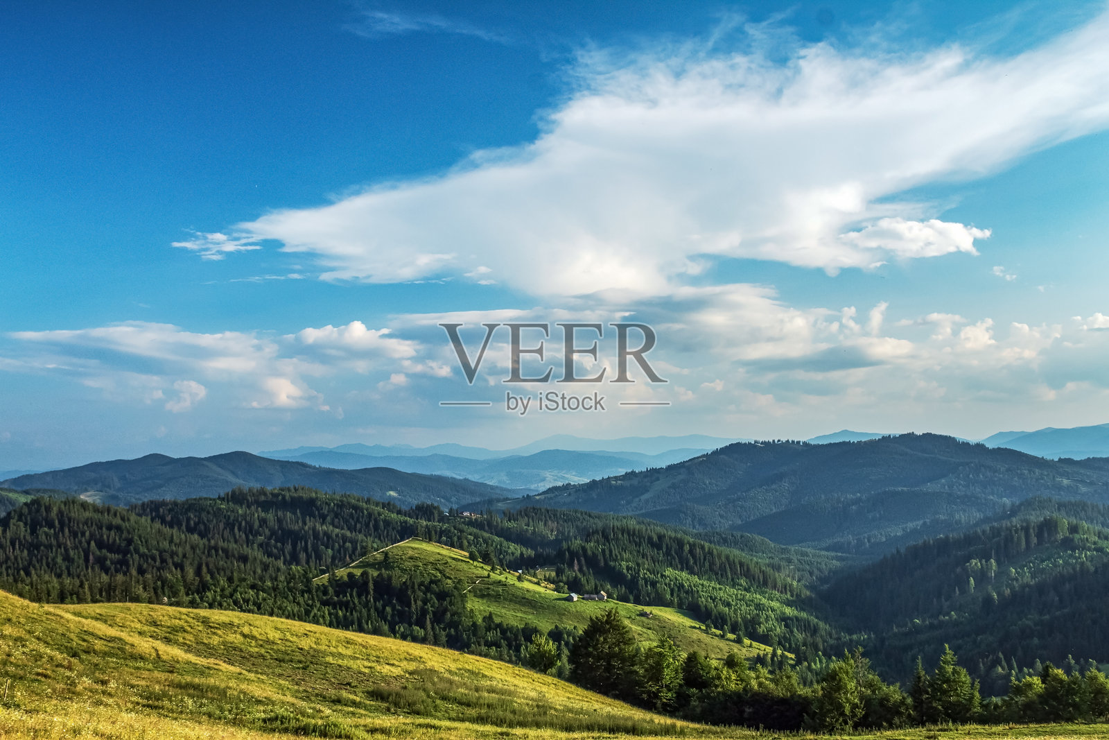 风景 - 森林 - 欧洲，罗马尼亚，苏恰瓦地区照片摄影图片