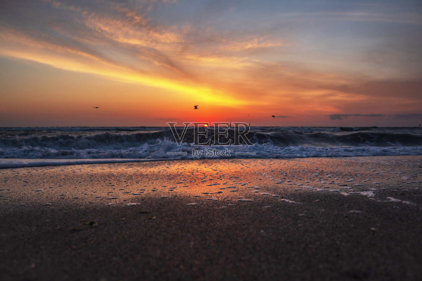 海洋，海岸 - 欧洲，罗马尼亚，康斯坦察地区照片摄影图片