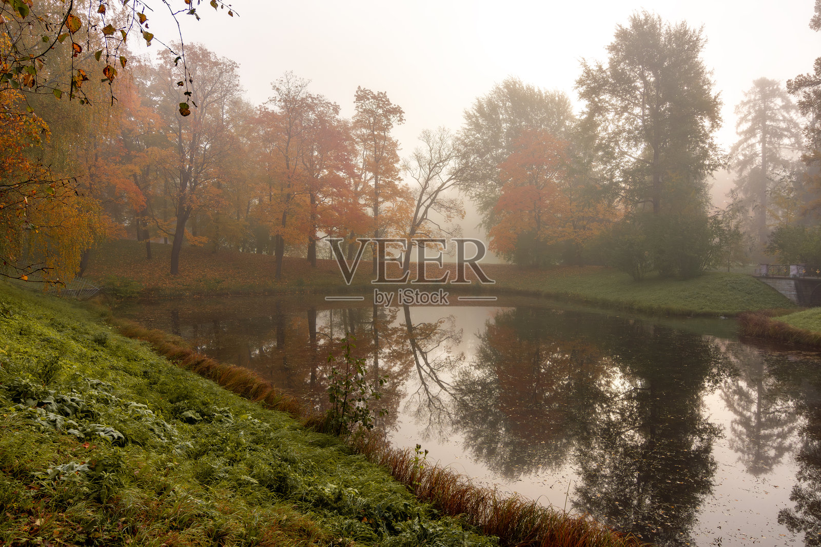 俄罗斯圣彼得堡的彼得霍夫（普希金）凯瑟琳公园的秋晨雾气照片摄影图片