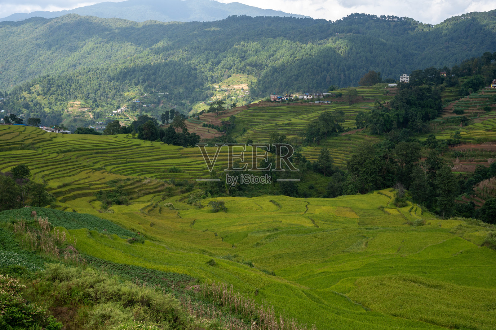 自然照片摄影图片