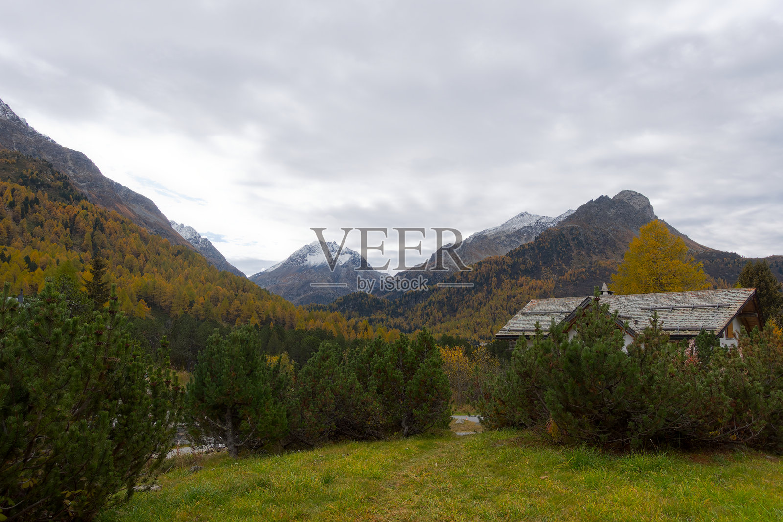在阴天的恩嘎丁谷，俯瞰瑞士阿尔卑斯山的壮丽山脉全景，周围是森林、秋季色彩和被雪覆盖的山峰。照片摄影图片