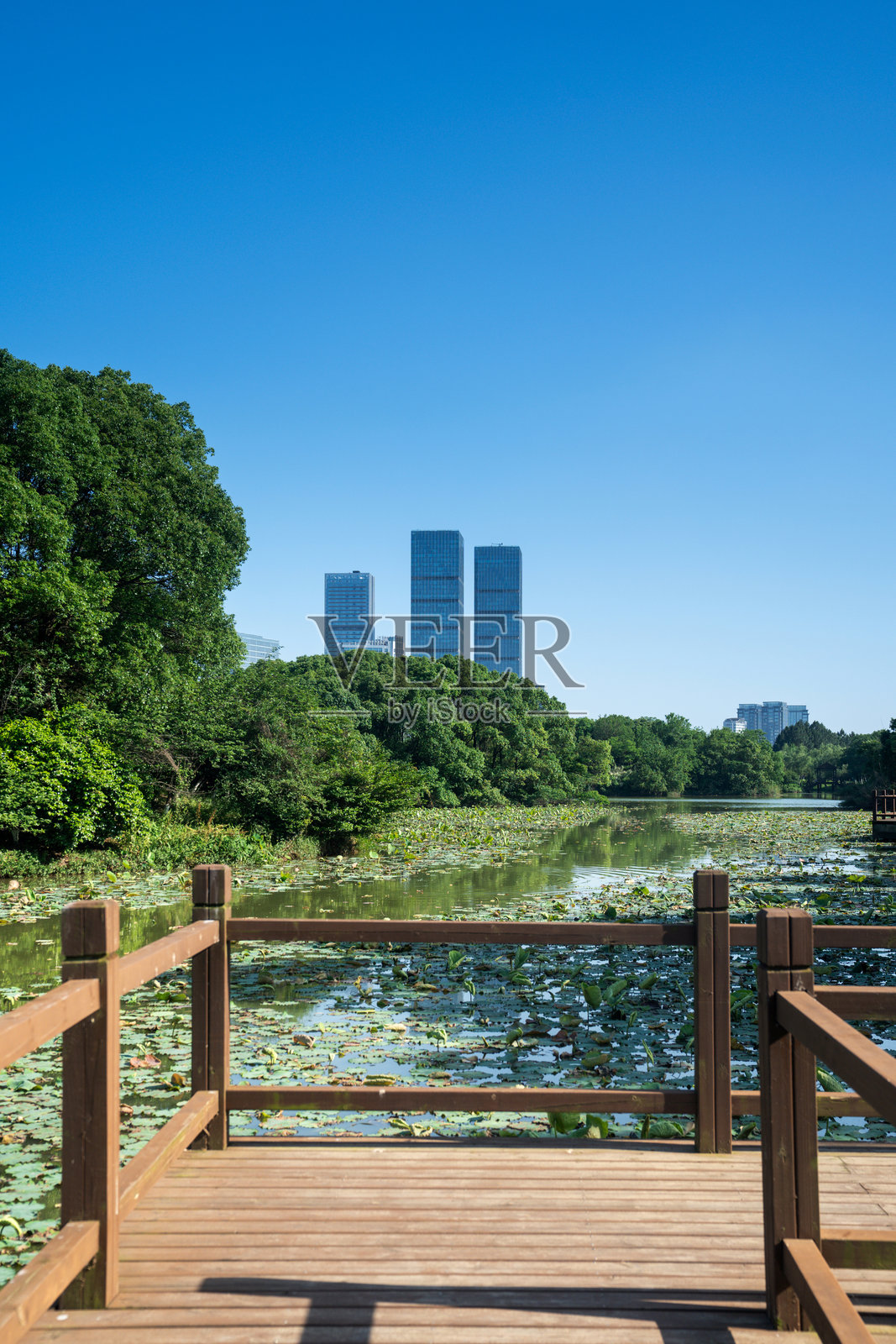 春天的公园与现代城市照片摄影图片