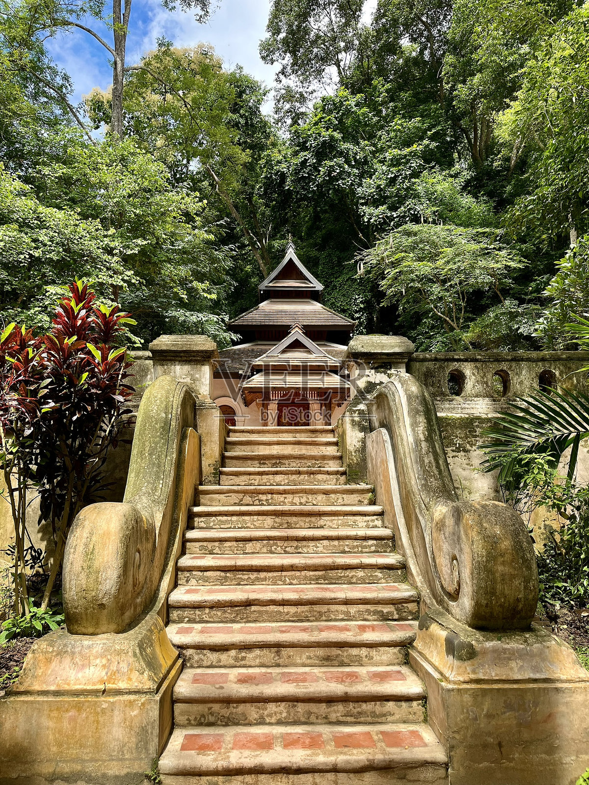 泰国 - 清迈 - 瓦帕拉特寺照片摄影图片