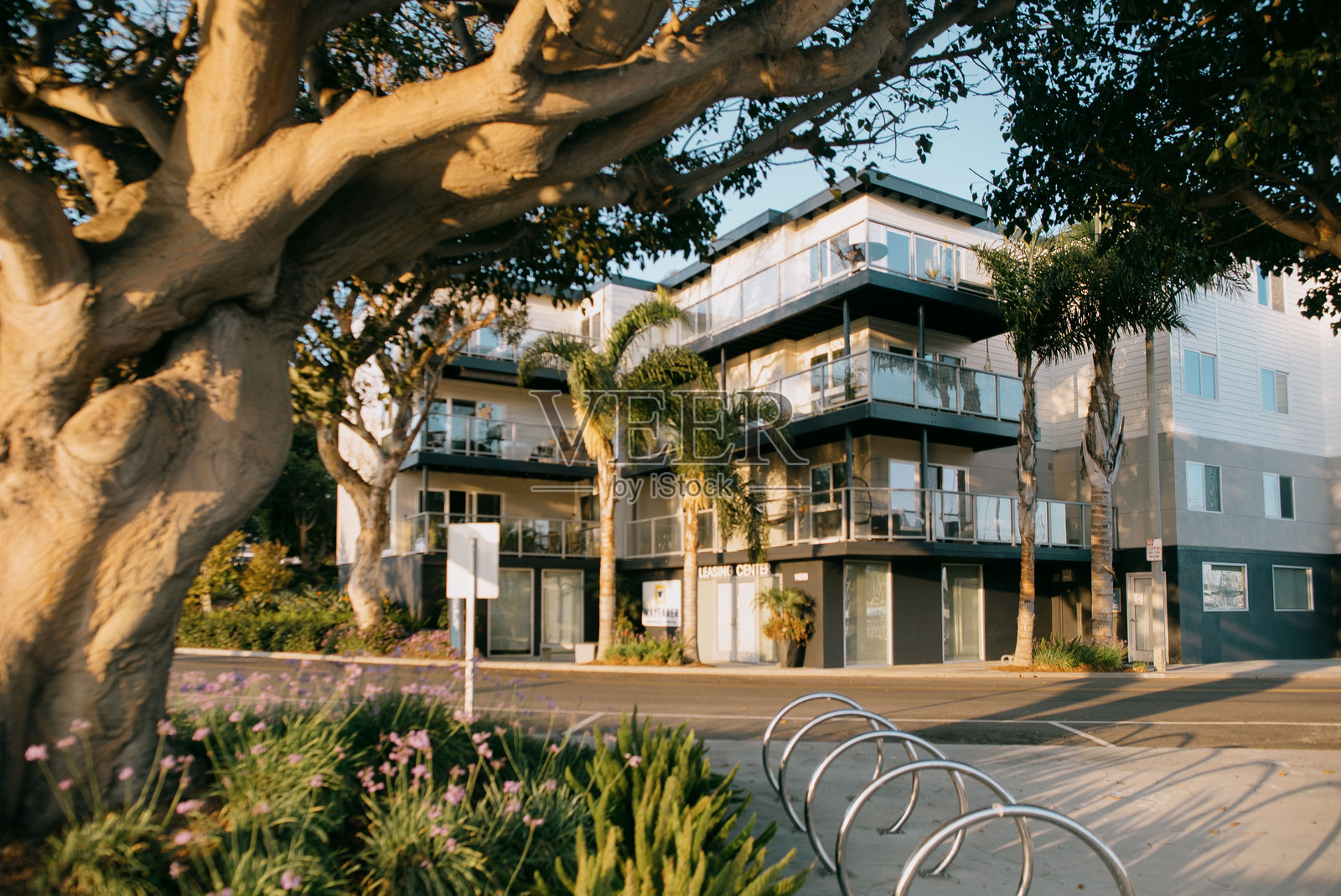 十月初海边码头的风景照片摄影图片