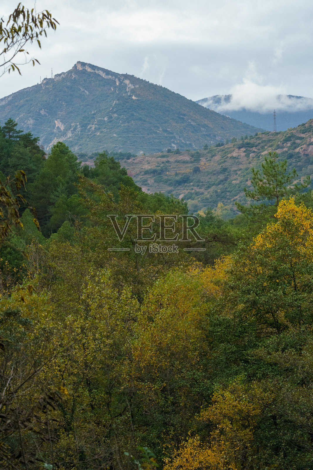 秋天树叶变黄，背景是绿色的山脉照片摄影图片