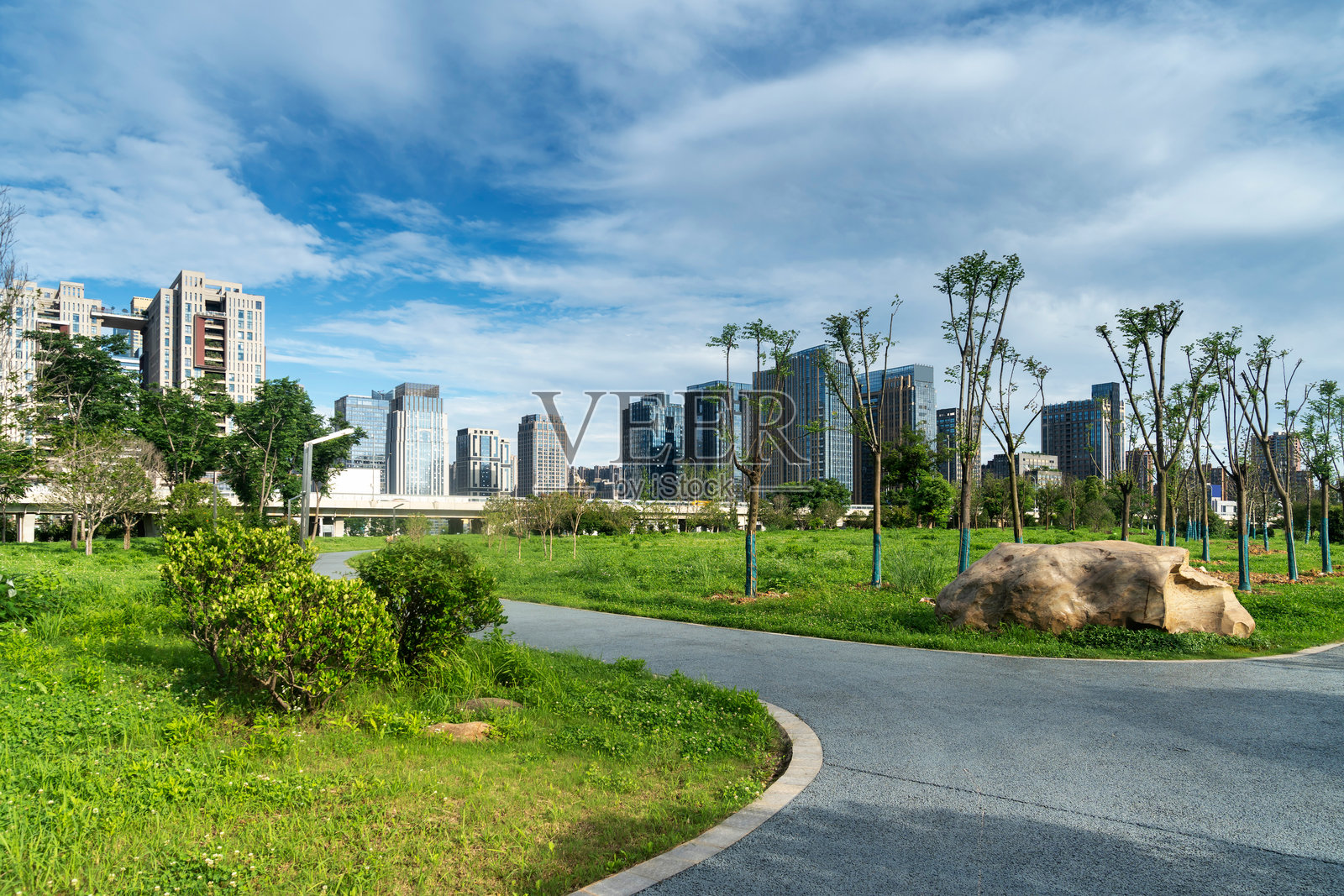 上海现代建筑背景下的城市公园照片摄影图片