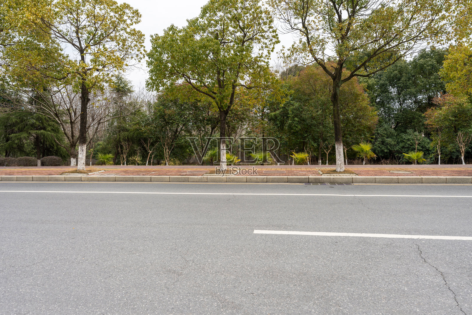 城市中空荡荡的街道和建筑照片摄影图片