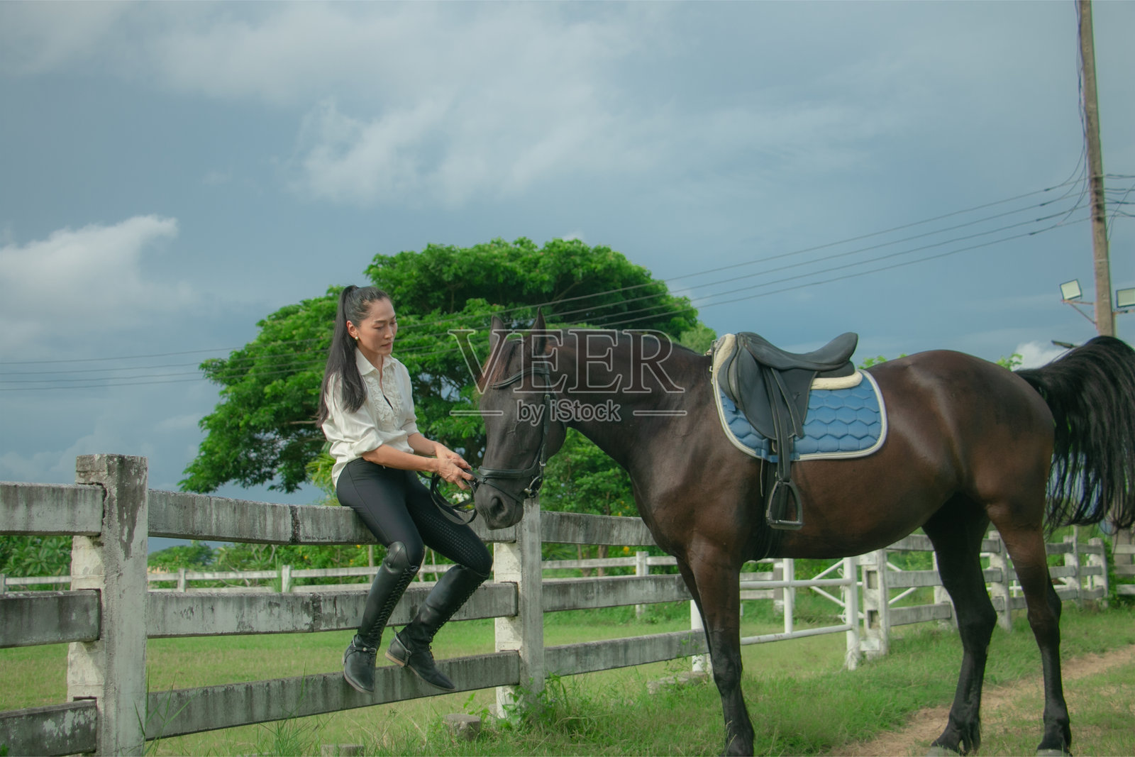 女人在草地上与马嬉戏照片摄影图片