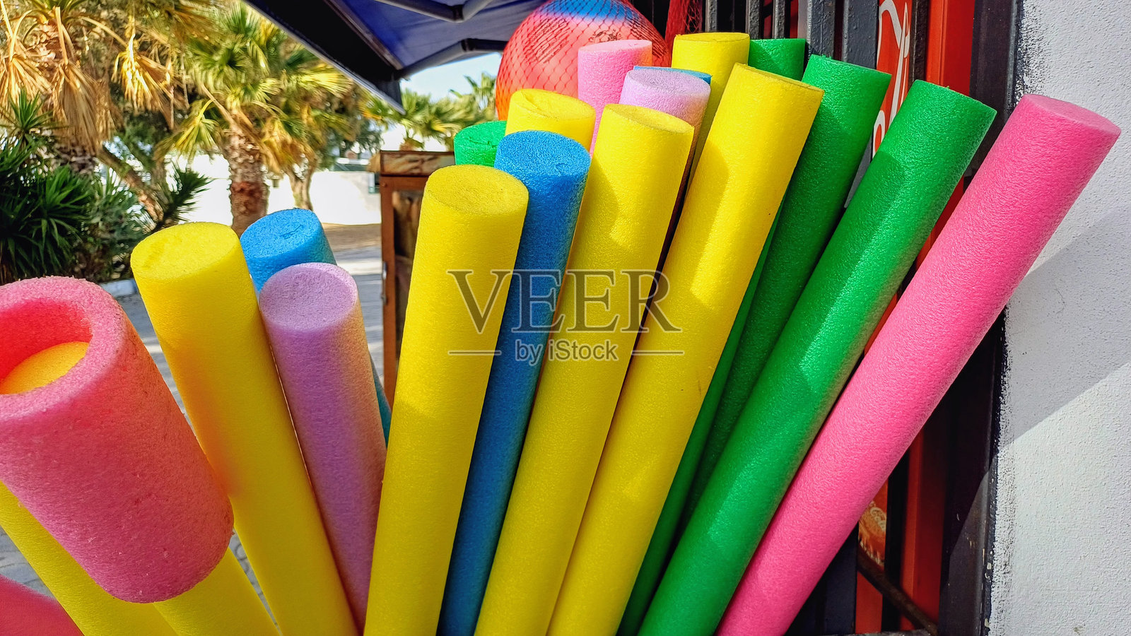 彩色海绵海肠照片摄影图片