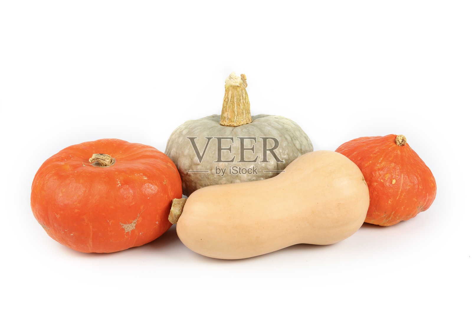 秋季蔬菜的组合，孤立展示照片摄影图片