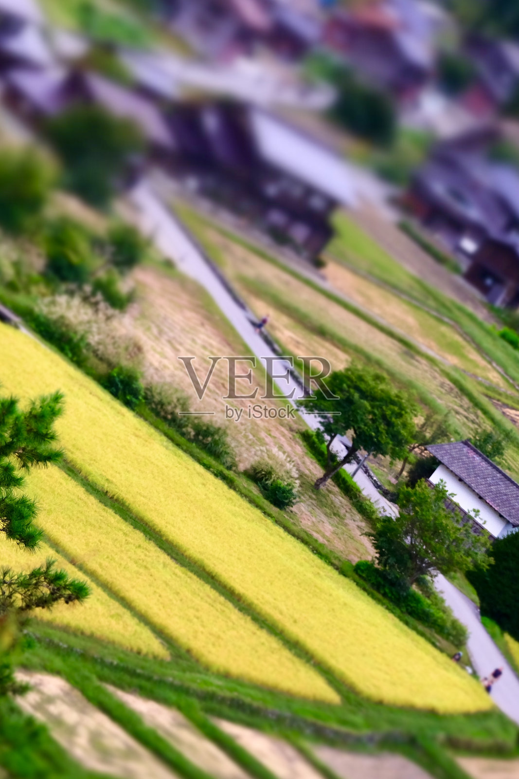 白川小模型照片摄影图片